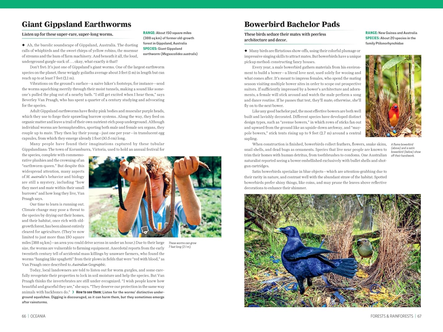 Atlas Obscura: Wild Life: an Explorer'S Guide to the World'S Living Wonders image number 5