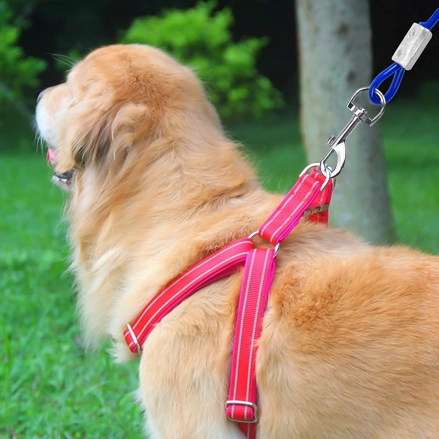 3M Puppy Pet Outdoor Tie Out Lead Leash, Heavy Duty Dog Tie Out Cable,Dog Tie Out Cable with 360&deg; Swivel Lockable Hook and PVC Coating,Galvanized Steel Wire Rope,For Small Medium Pet(Blue) image number 1