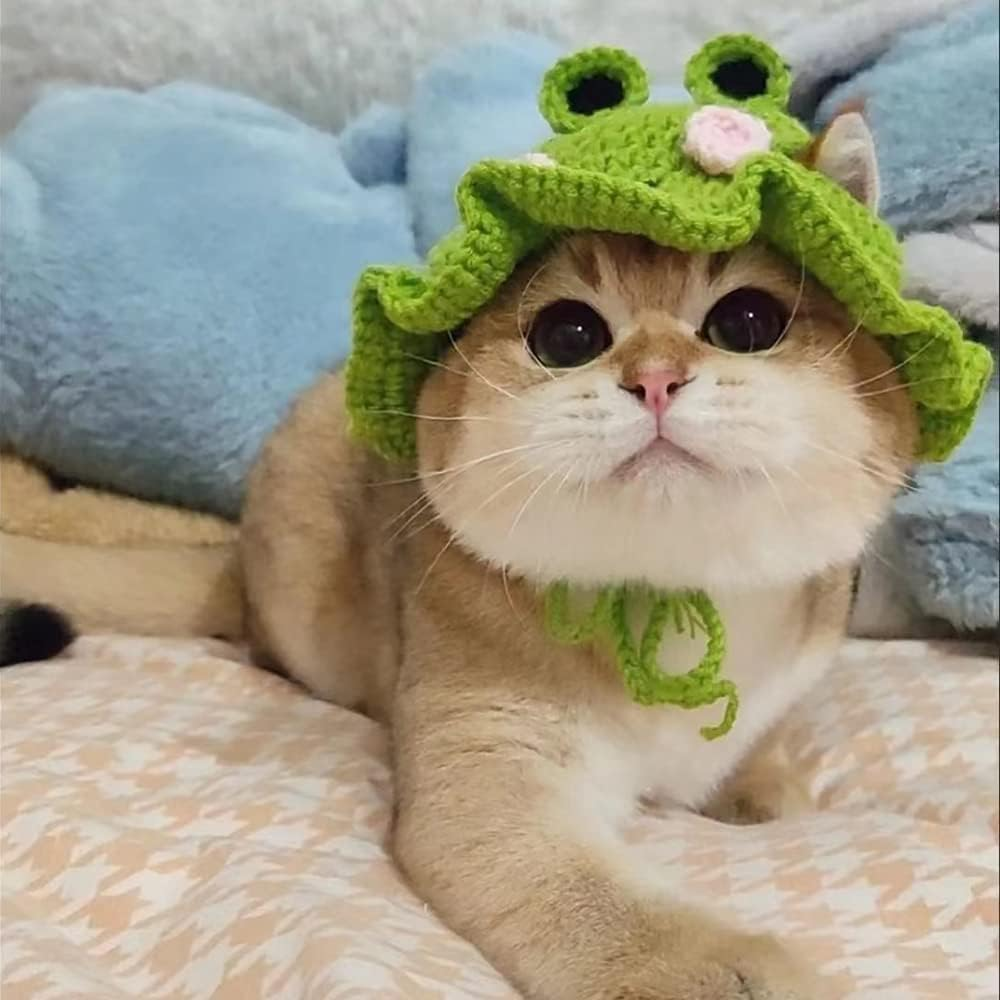 A Super Cute Knitted Frog Hat,Perfect for Cats and Dogs to Cosplay. Dress up Your Furry Friend image number 3