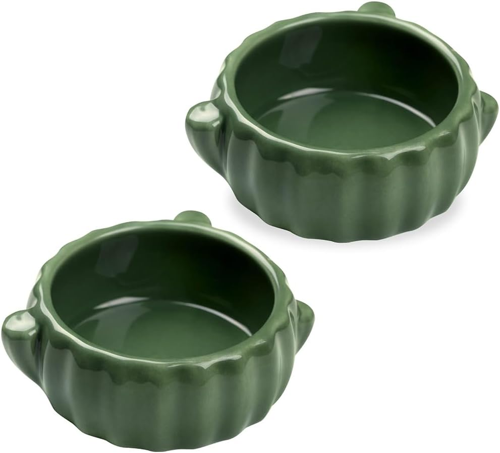 2PCS Food Bowl for Hamster Cactus Drinking Bowl Waterproof Food Dish Ceramic Feeding Bowls for Small Animals, Birds, Guinea Pig, Chipmunk image number 1