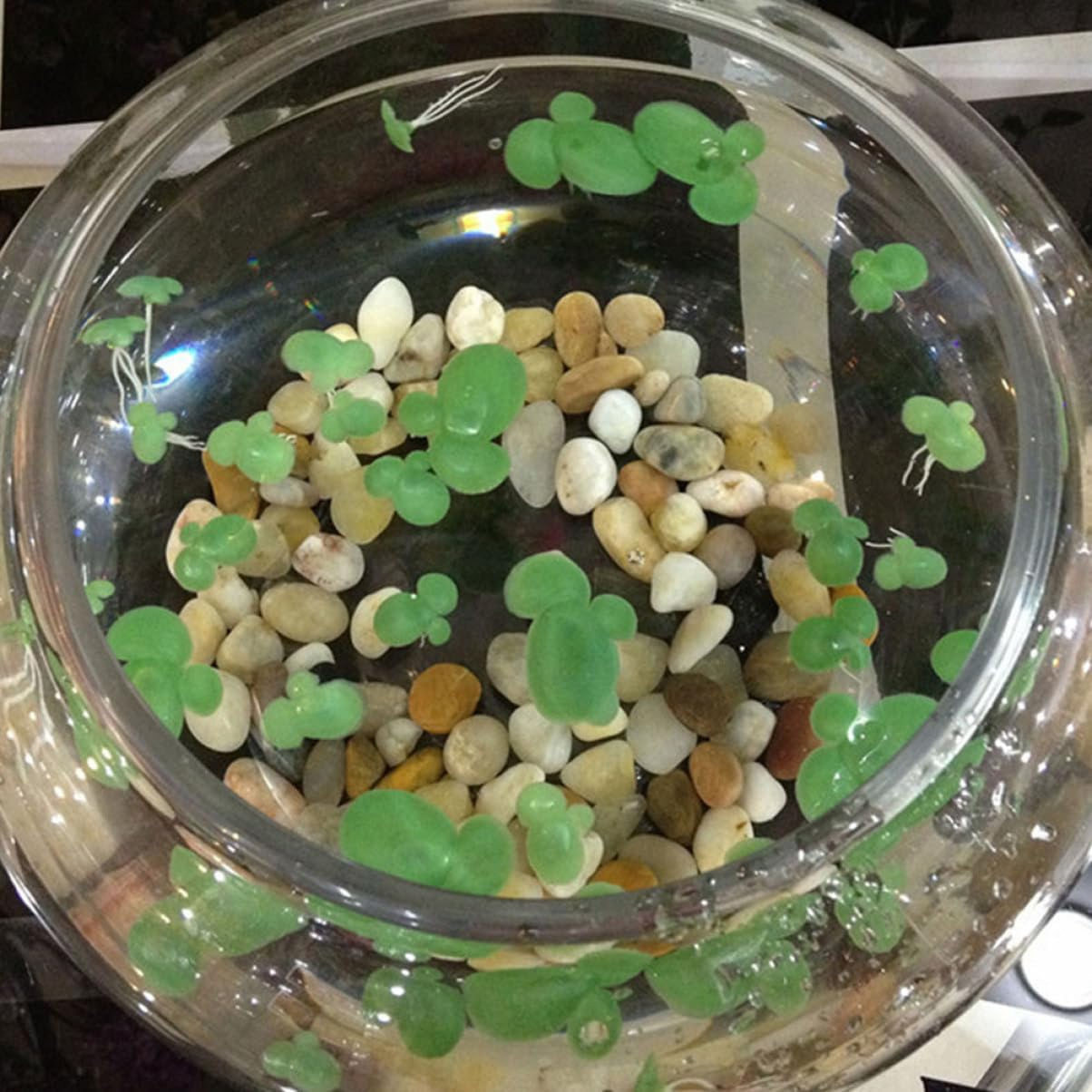 Housoutil 54Pcs Fake Duckweed Aquarium Plants Lifelike Floating Decorations for Fish Tank Premium Lightweight for Natural Aquatic Landscapes Fish