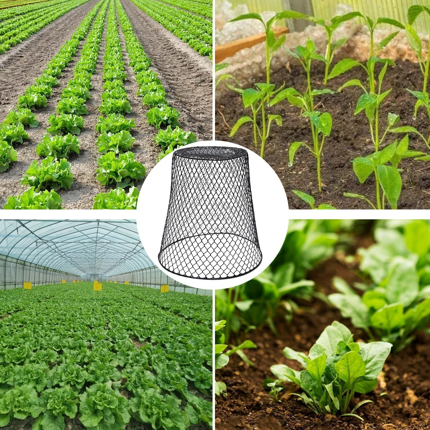 5 Pcs Chicken Wire Plant Covers Protectors from Animals, Metal Mesh Plant Cage, Large Garden Cloches Plants for Plants Cages Cover Plant Protectors from Animals in Outdoor Vegetable Garden image number 6