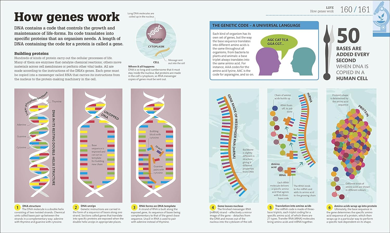 How Science Works: the Facts Visually Explained image number 3