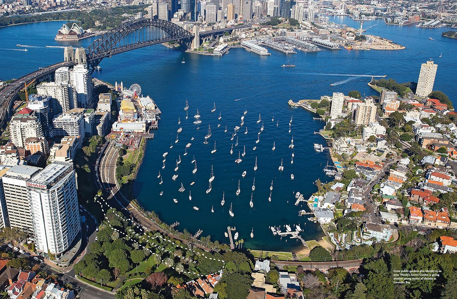 Wendy Whiteley and the Secret Garden image number 3