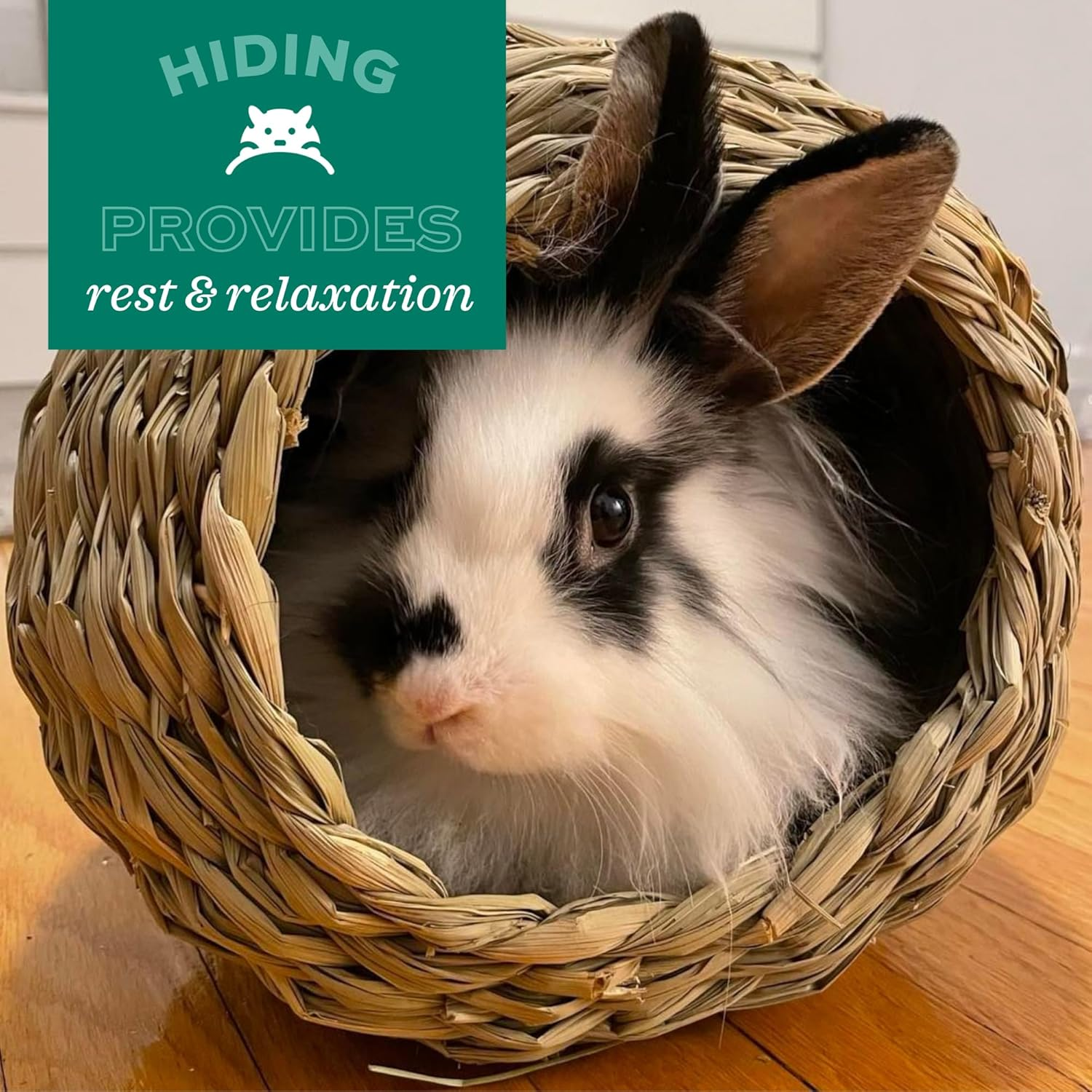 Oxbow Animal Health Timothy Club Timothy Hideout, 6" X 5" X 5" image number 1