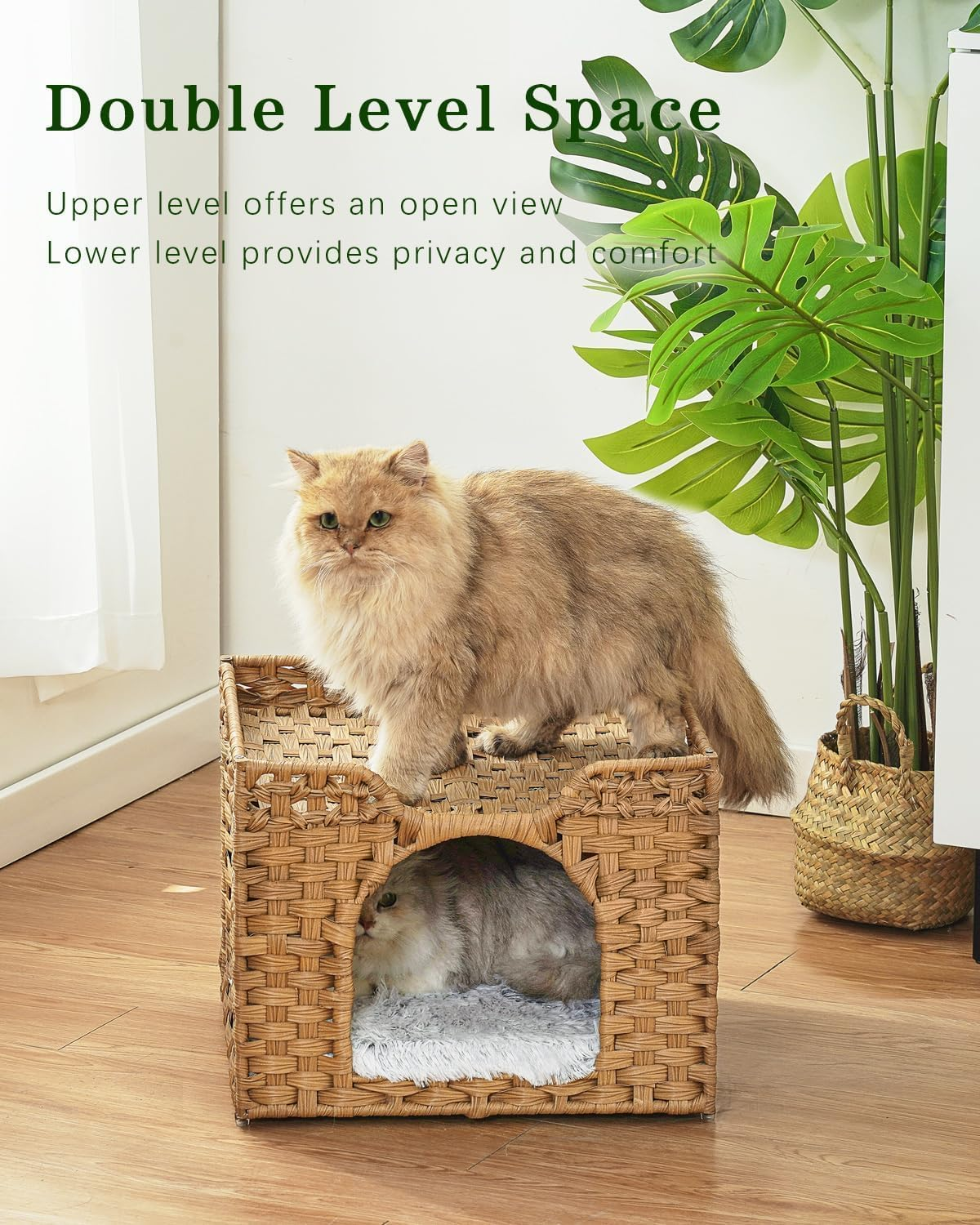 Homodoskey Cat Beds for Indoor Cats, Large Foldable Handwoven Rattan Cat Cave for Pet Cat House, Cute Kitten Condo Hideaway Hut with Soft Mat for Pets image number 5