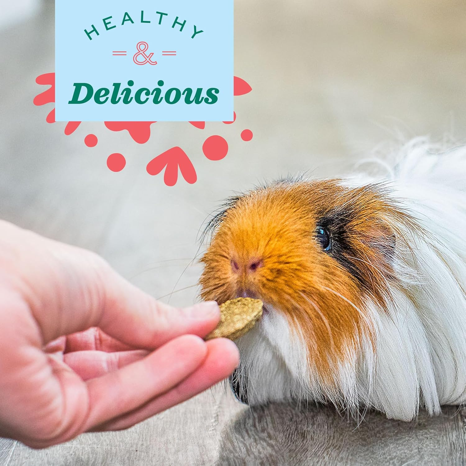 Oxbow Animal Health Natural Science Vitamin C Supplement, Vitamin C for Guinea Pig, Made with Oxbow Timothy Hay, Pet Supplements for Guinea Pigs, Veterinarian Formula, Made in USA, 120G image number 4