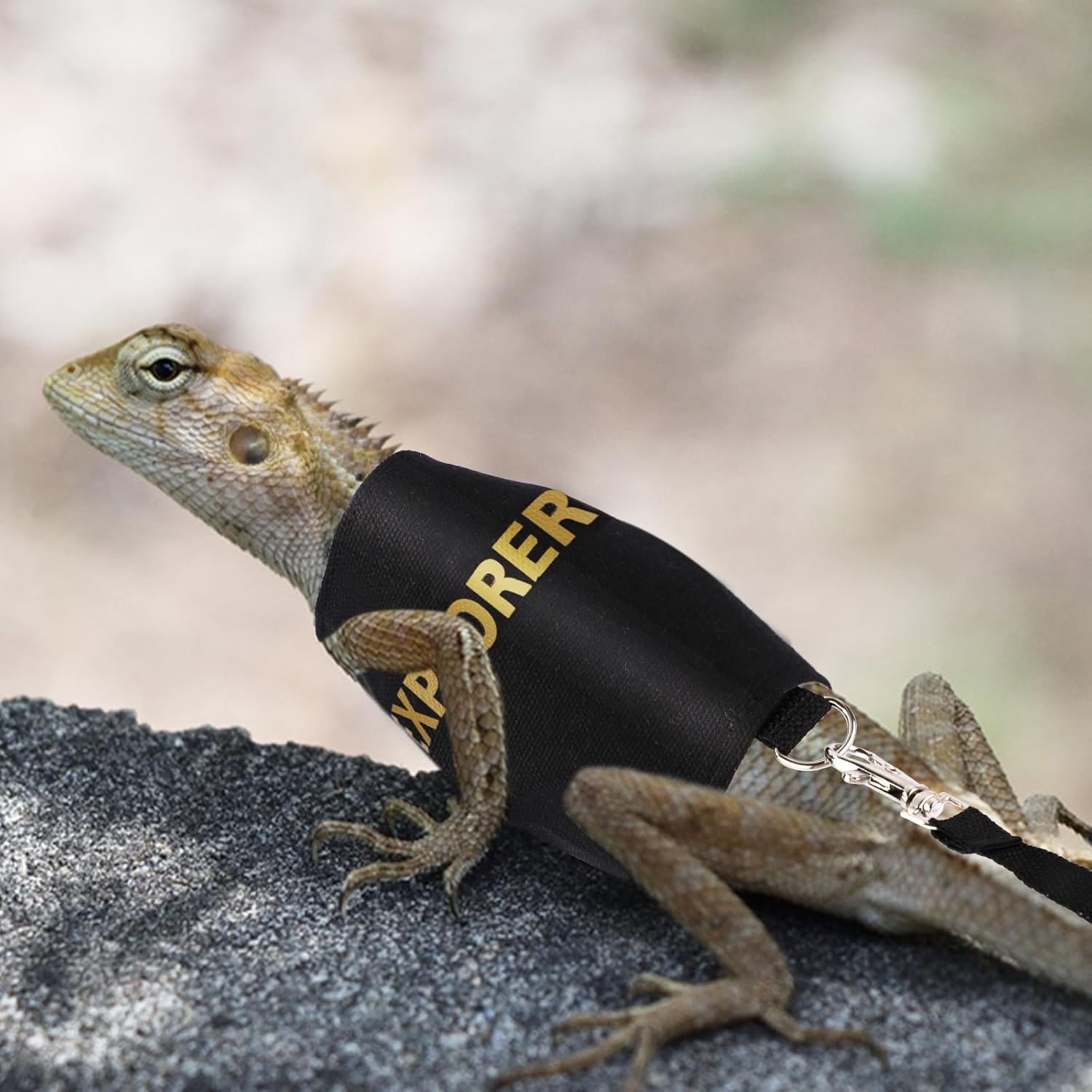 Bearded Dragon Leash & Preservation Set, Bearded Dragon Accessories Adjustable Reptile Lizard Tool for Chameleon Small Pet Plaza Safe Walk Outside