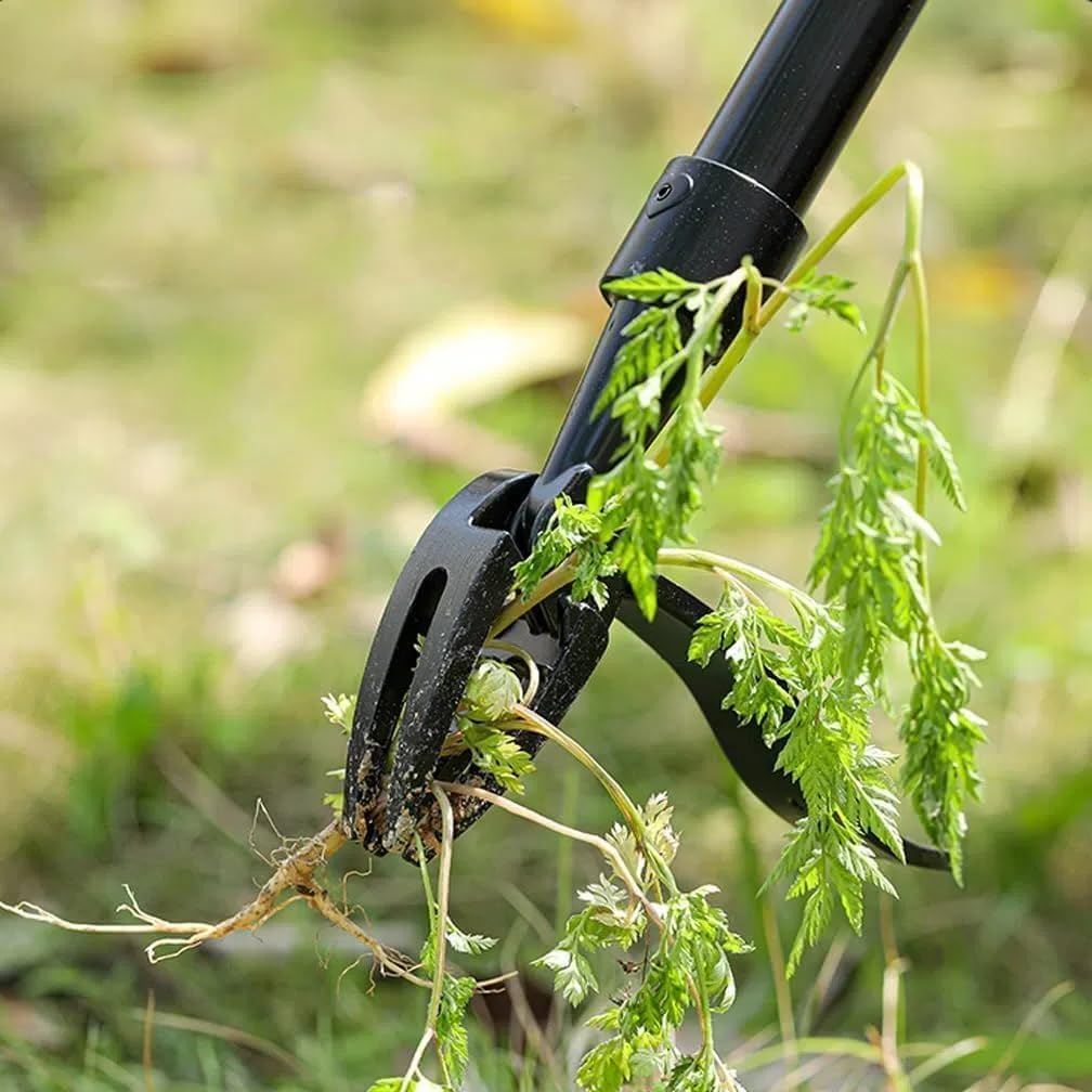 Weed Puller Tool Set, Stand-Up Weeder with 3 Steel Headl(4-Claw) with Stainless Handle Adjustable to 1.3M,Update Tighter Connectors,Remove Weeds without Bending,Pulling,Kneeling for Lawn and Garden image number 3