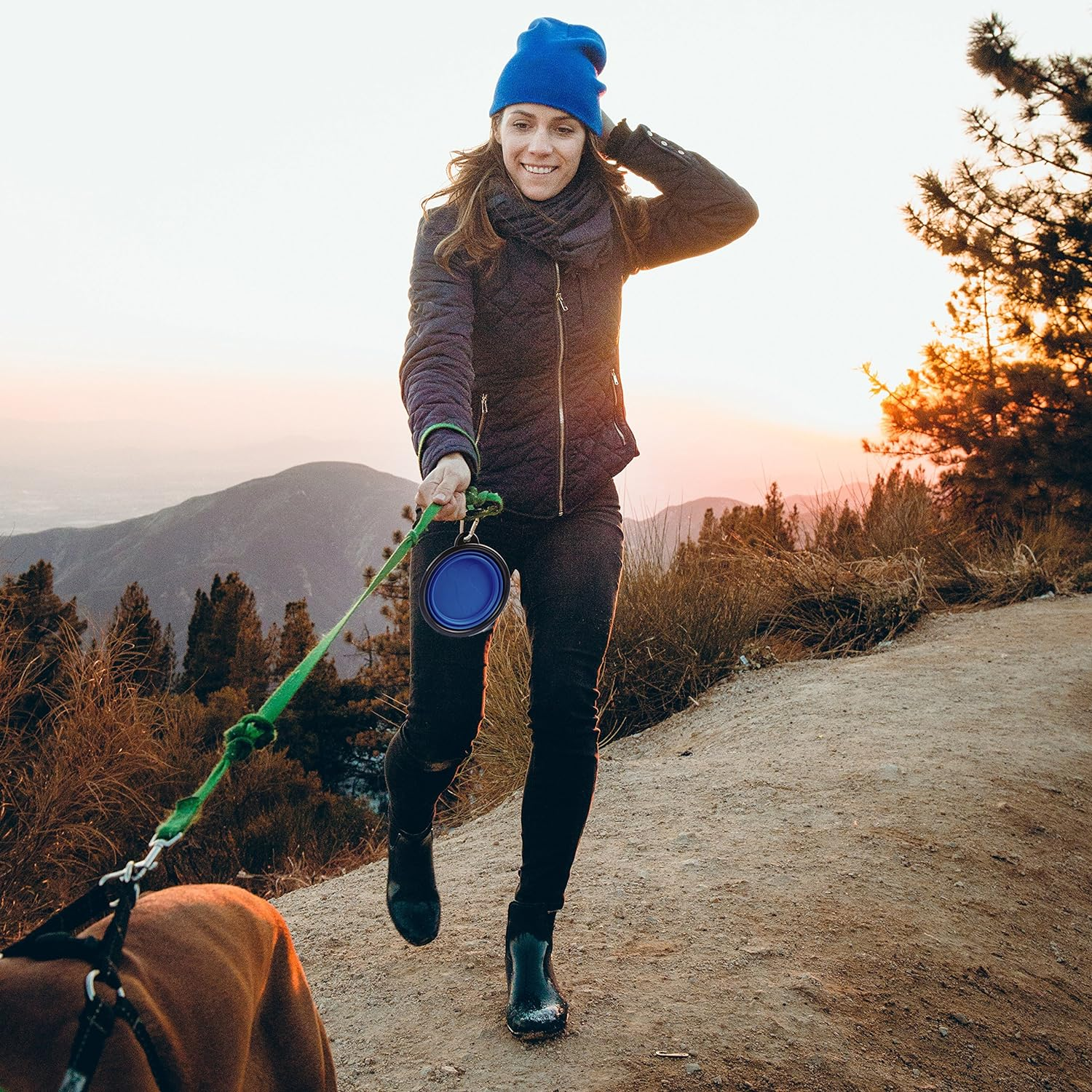 Zenify Dog Bowl - Extra Large 1000Ml Collapsible Foldable Food and Water Feeder Dish - Portable Travel Leash Lead Slim Accessories for Training Pets Puppy Dogs (7 Inches / 17.8 Cm) (Blue XL)