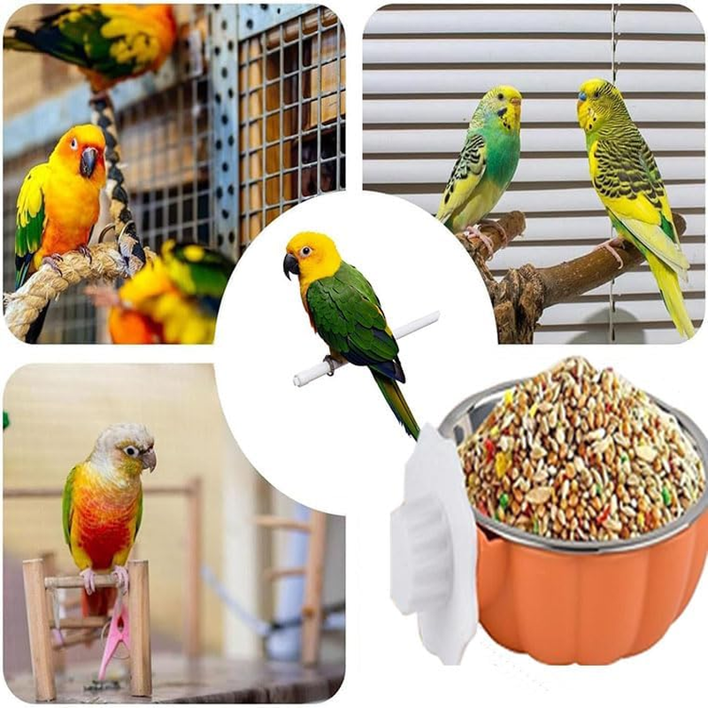 Limcryspp Stainless Steel Anti-Spillage Bird Food Bowl, Hanging Parrot Food Basin, Suitable for Indoor and Outdoor Cage Keeping of Black Phoenix, Peony and Tiger Parrots to Prevent Overturning (Big)