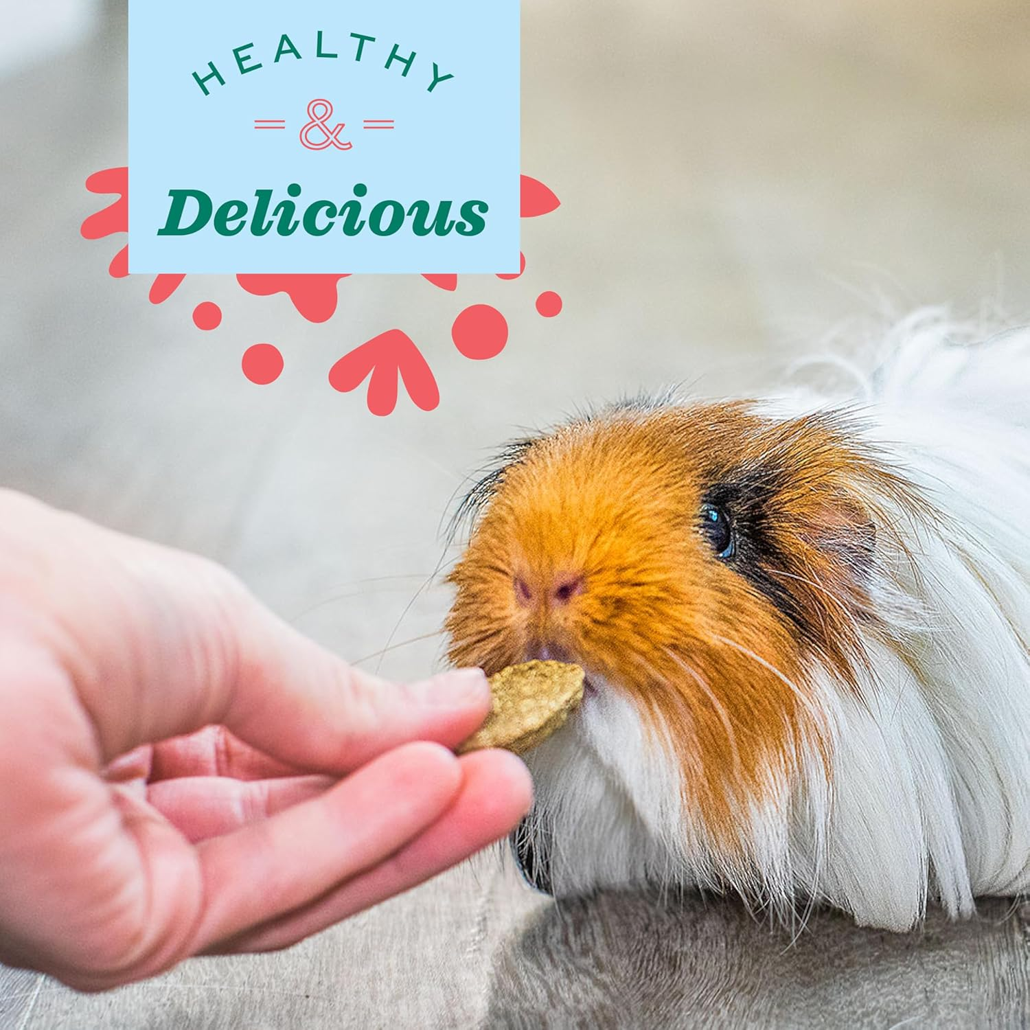 Oxbow Animal Health Natural Science Joint Support, anti Inflammatory Supplement for Rabbit & Guinea Pig, Oxbow Timothy Hay, Made with Glucosamine, Turmeric, & Yucca, Made in USA, 120G image number 5