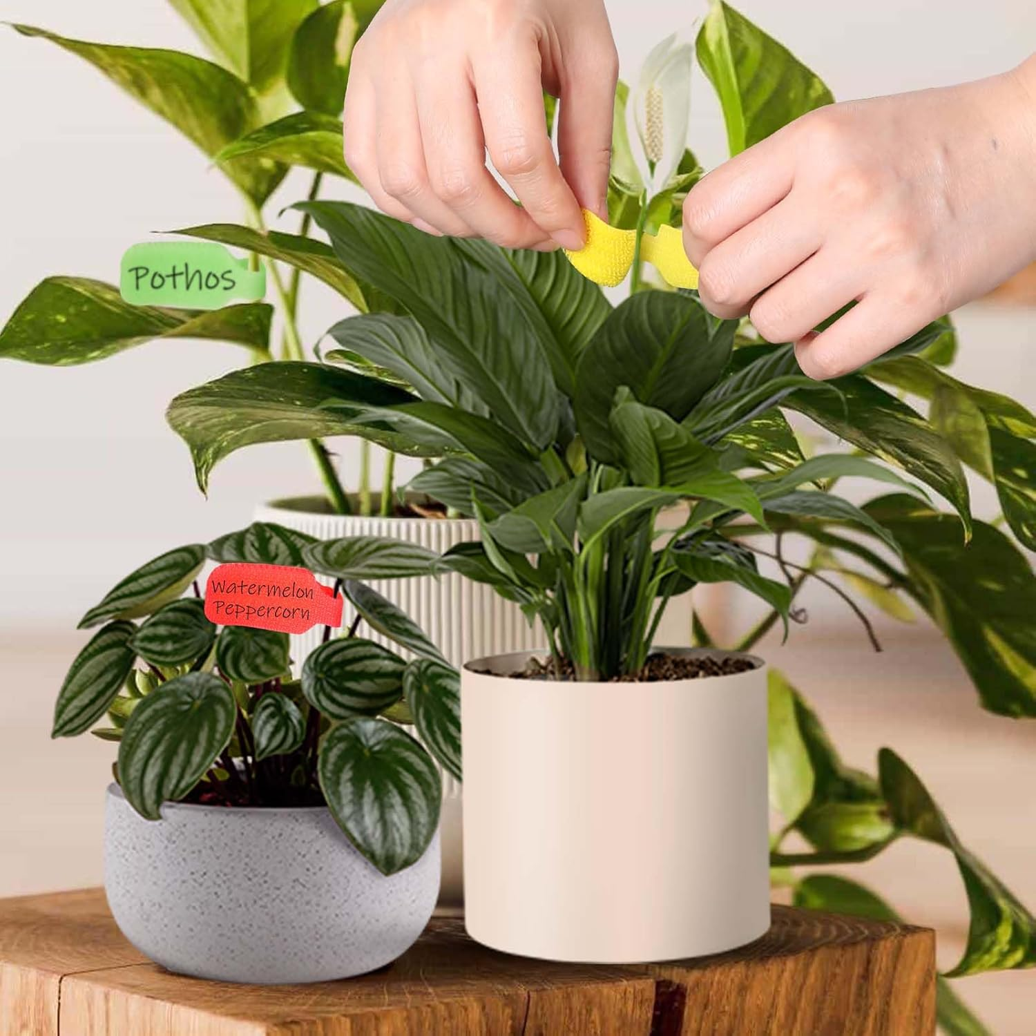 40 Pcs Cable Cord Labels, Hianjoo Self Adhesive Cable Tags Colorful Wire Identification Label Reusable Write-On Name Tags for Organizing Wires 8 Colors Multiple Uses image number 2