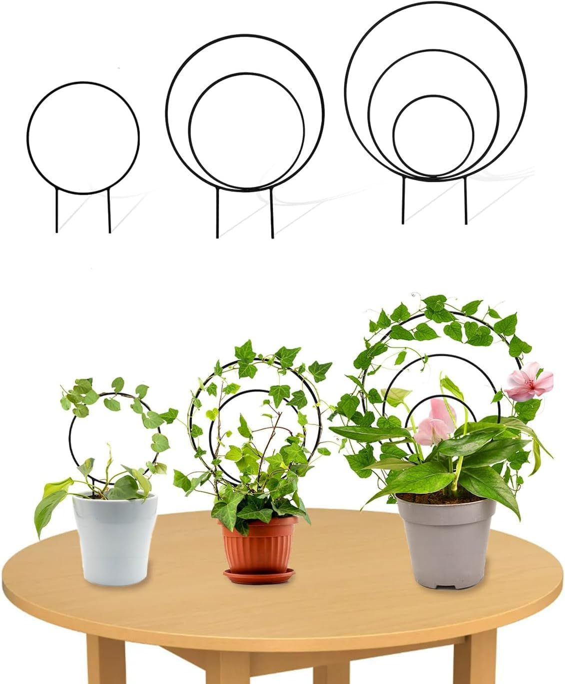 Round Plant Trellis Support Stakes, 3 Pieces, Black, Multiple Sizes for Indoor Climbing Plants,Unique round Hoya Trellis, Different Size Houseplant Trellis for Indoor Climbing Plant,Black image number 3