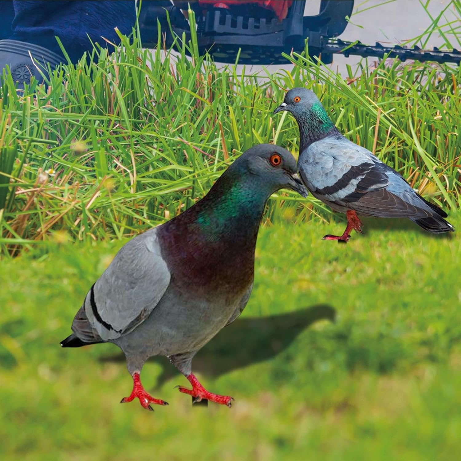 Pigeon Decoys,2X Realistic 2D Acrylic Pigeon Model - Bird Stake Ground Plug, Decorative Yard Art Bird Figurine for Courtyard, Lawn, Patio, Outdoor image number 6
