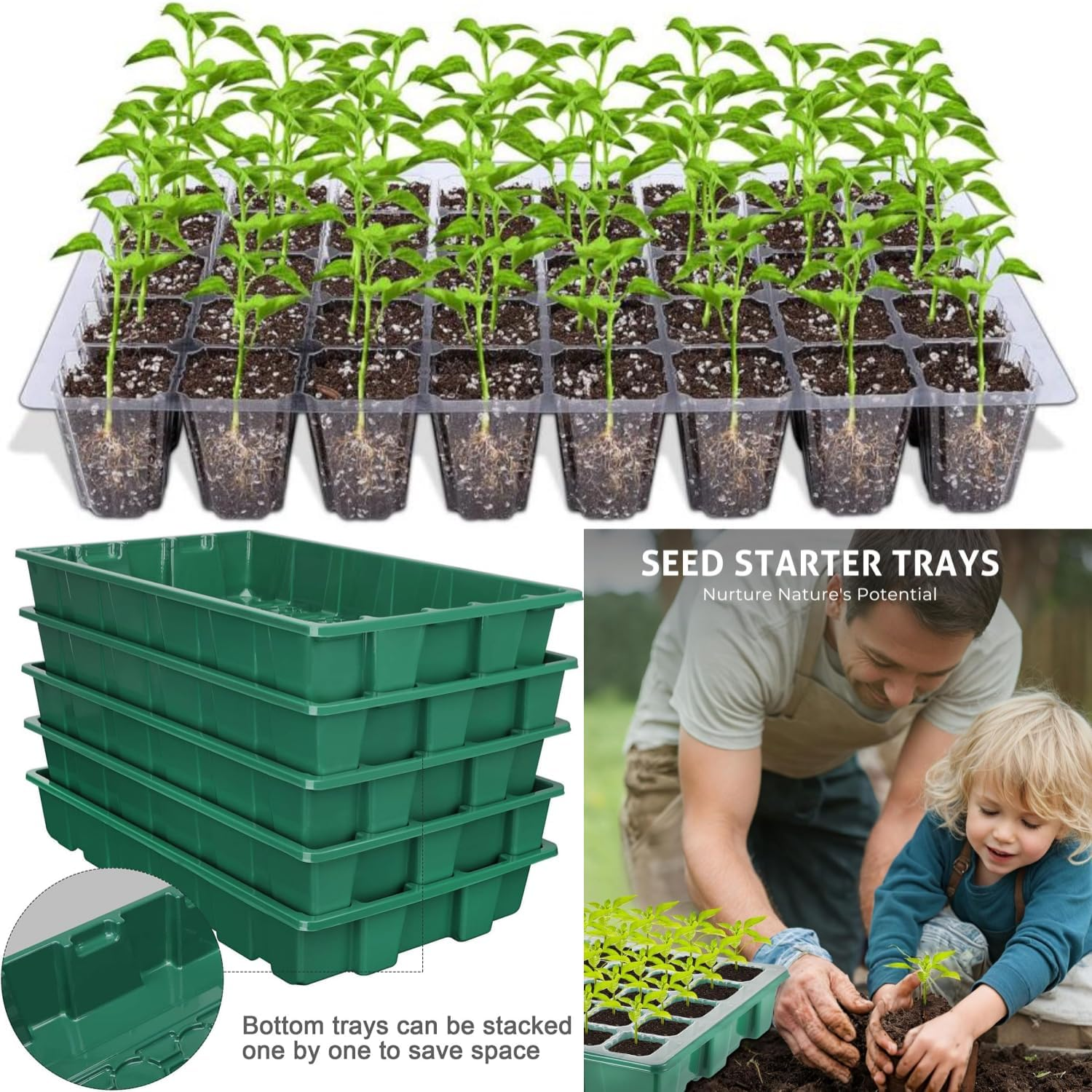 4-Set Seed Starter Tray Kits with Dome and Base - 40-Cell Garden Plant Germination Trays, Seedling Tray, Cell Humidity Adjustable Seed Starting Kit,Greenhouse Germination Growth Tray image number 4