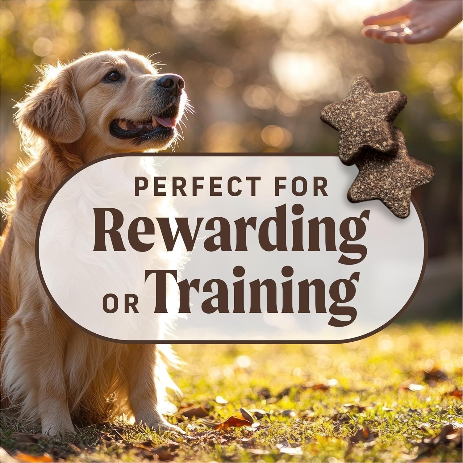 Merrick Power Bites Natural Soft and Chewy Real Meat Dog Treats, Grain Free Snack with Real Beef Recipe - 6 Oz. Bag