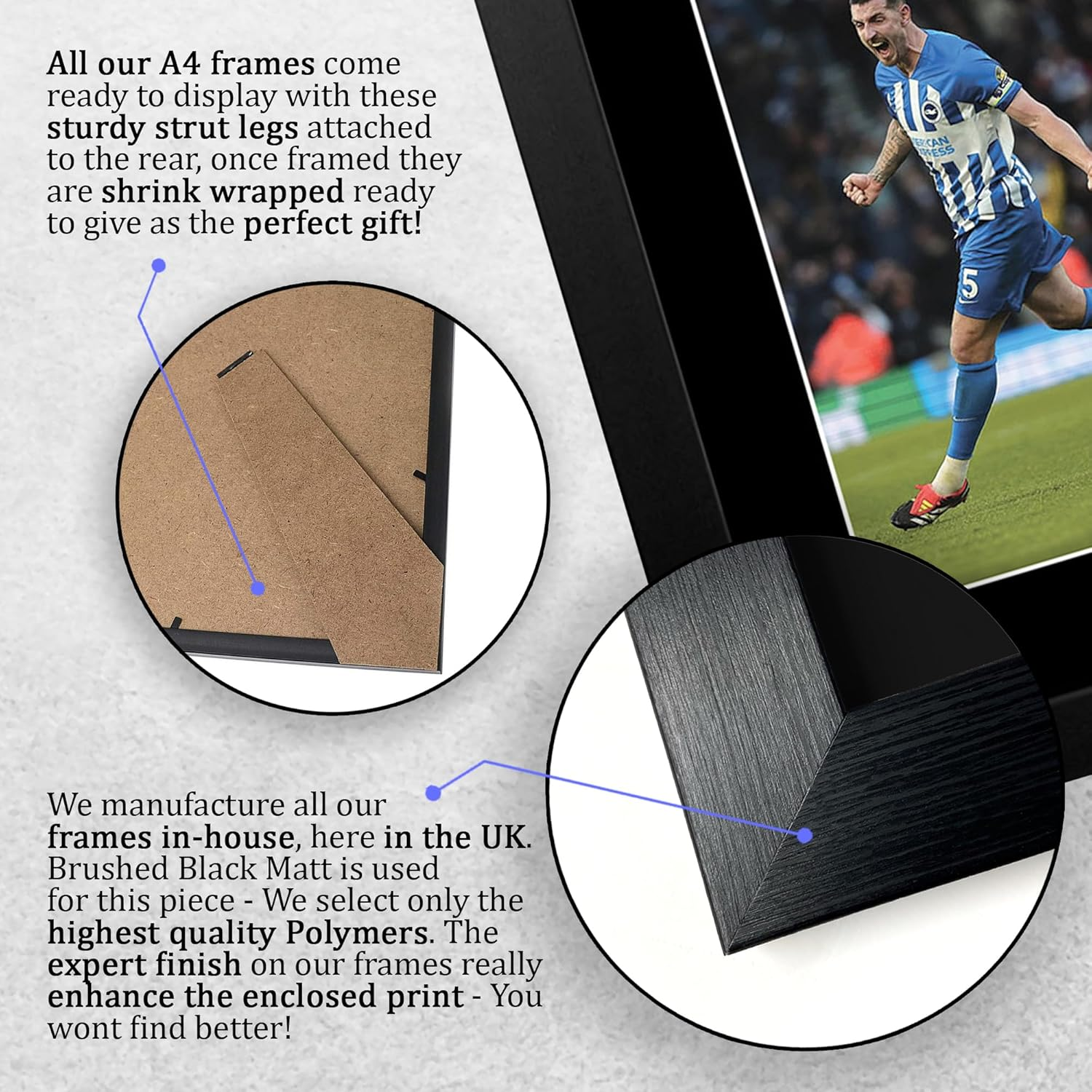 HWC Trading Lewis Dunk Brighton & Hove Albion Gifts Printed Signed Autograph Picture for Football Fans and Supporters - A4 Framed - Lewis Dunk (A3 Framed Display) image number 3