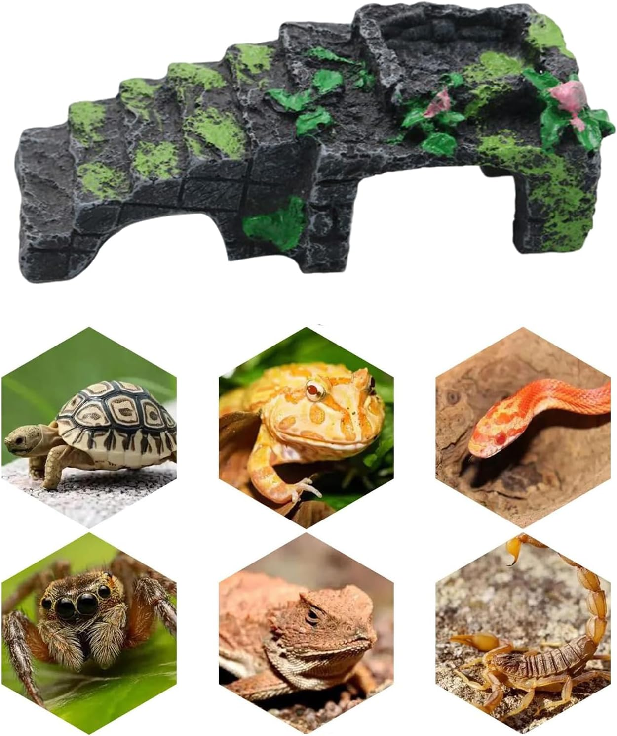 Hermit Crab - 5.12X2.17 Inches Climbing Ladder Water Bowl for Reptiles Tank, Feeding Ramp with Durable Safe Design, Baby Toys Crab for Frogs Lizards Turtle Snake Hamsters Geckos Aquarium Cage image number 6