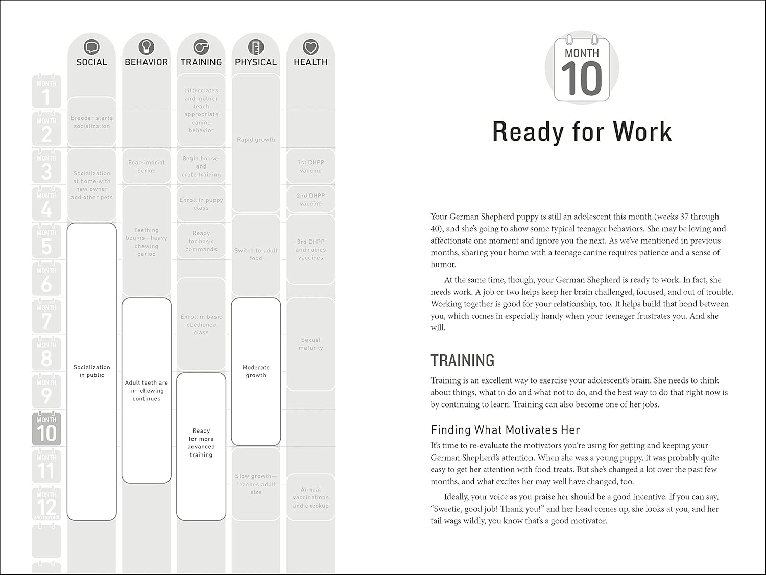 Your German Shepherd Puppy: Month by Month, 2Nd Edition: Everything You Need to Know at Each State to Ensure Your Cute and Playful Puppy image number 5