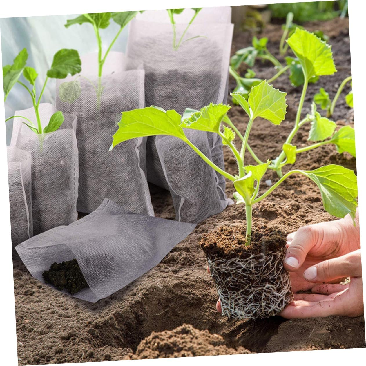 SUPVOX Planting Bags for Succulent Vegetable Herb Growing Non-Woven Plant Nursery Pouches Garden Supplies Grow Bags Flap Biodegradable image number 1