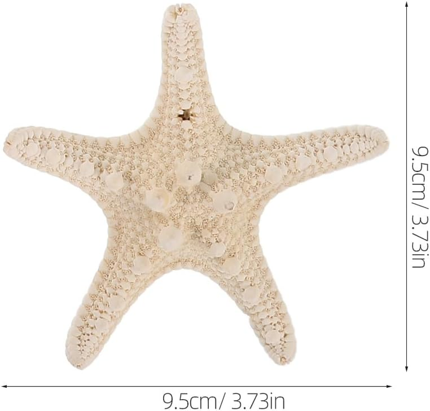 STOBOK 7PCS Shell Magnets Refrigerator Magnets Decorative Fridge Magnets Seashells Oysters Magnetic Decals for Home Kitchen Office, Random Style image number 5