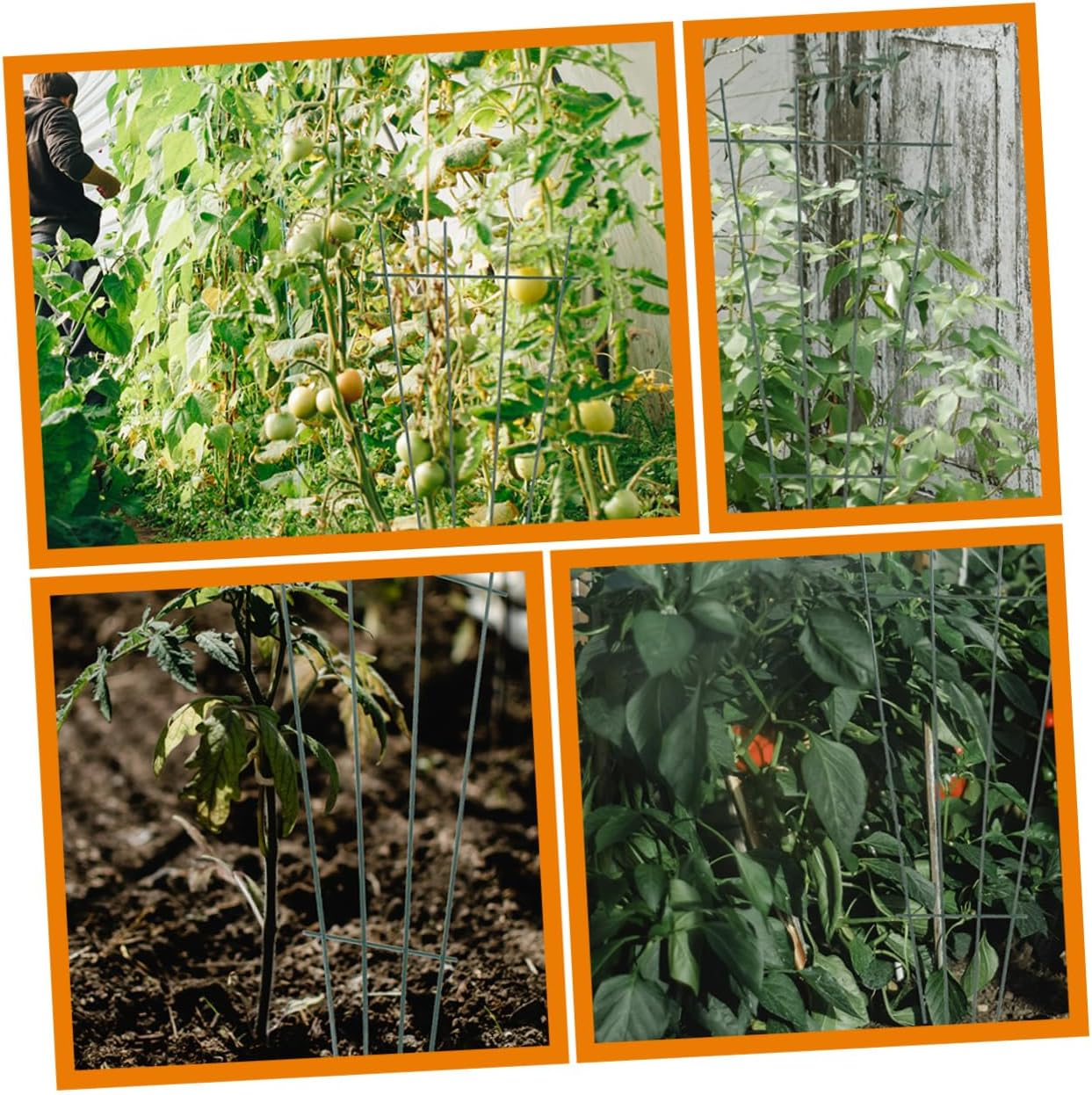 MERRYHAPY 2Pcs Sturdy Iron Garden Pergola Trellis Plant Stake Support for Indoor Outdoor Use image number 4