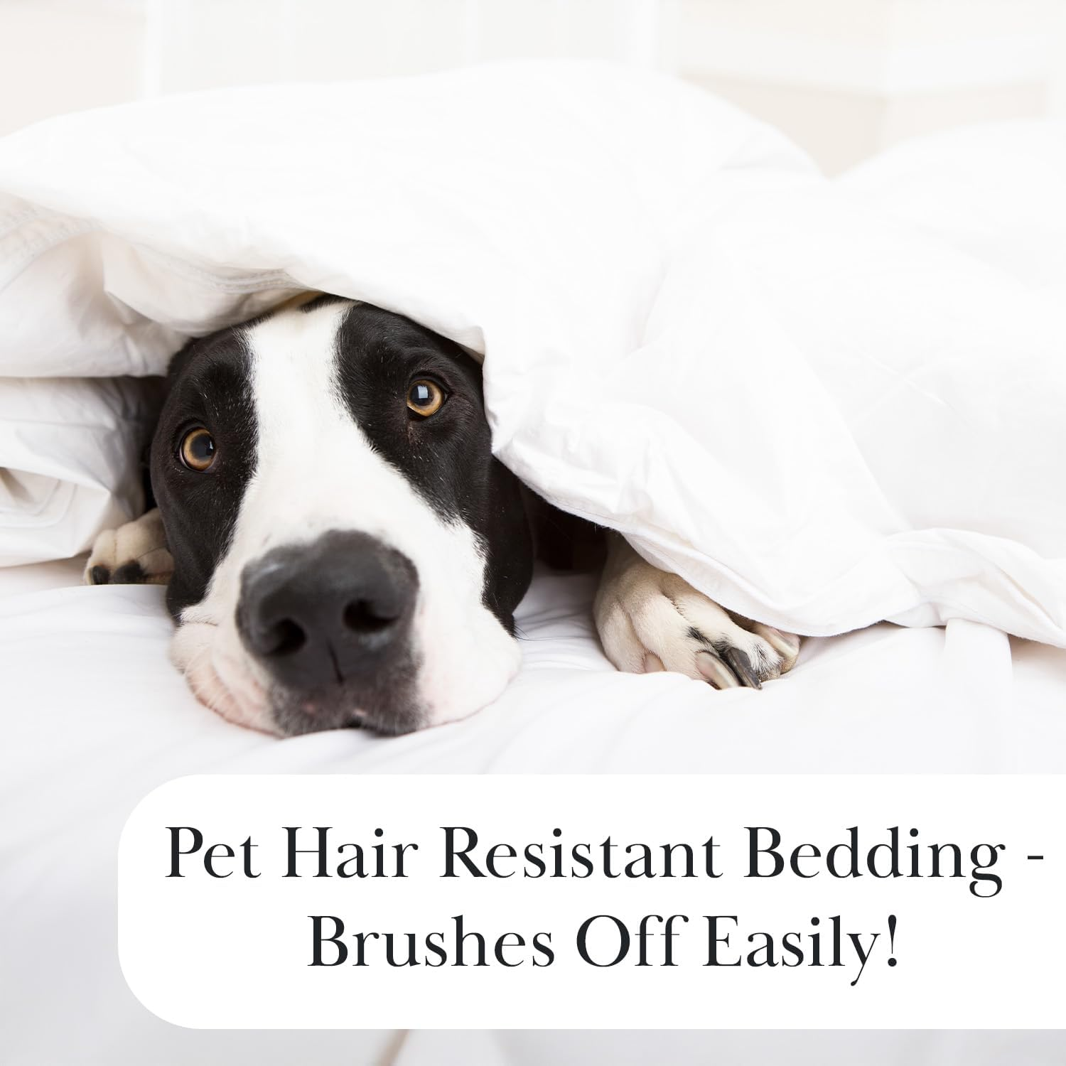 Southshore Fine Linens - the Brickyard Collection Lightweight Quilt Sets, Microfiber, Bone, Full/Queen image number 6