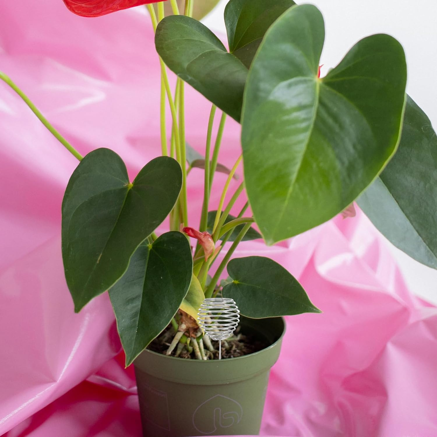 Cabilock 40 Pcs Bonsai Fertilizer Basket Granular Fertilizer Box Garden Supply Bonsai Fertiliser Automatic Planting Fertilizer Stainless Steel Fertilizer Basket Mini Container image number 4