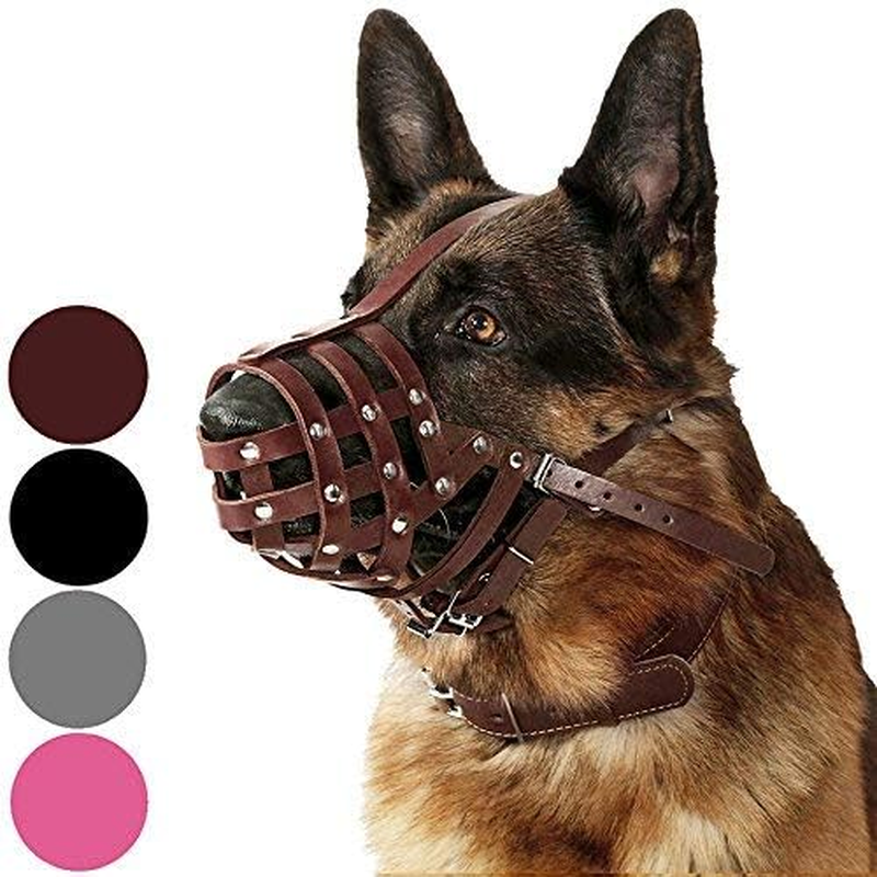 Collardirect Dog Muzzle German Shepherd Dalmatian Doberman Setter Leather Basket Medium Large Breeds Black Brown (Brown, Large)