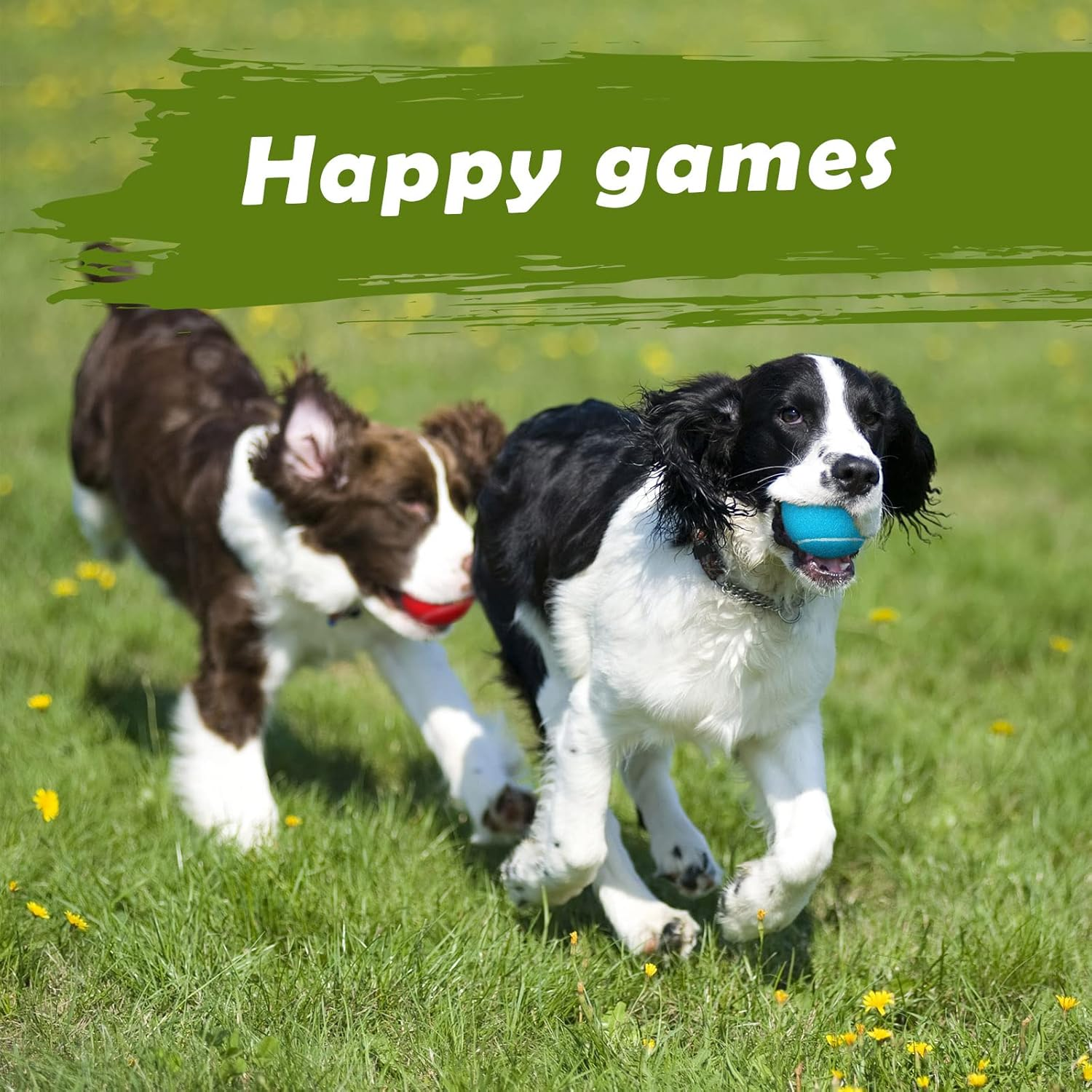 Pack of 20 Tennis Balls for Dogs 2.5 Inch PET Dog Ball for Large, Medium and Small Dogs Colored Interactive Puppy Tennis Doggy Toy with Bag Training Play Exercise, 5 Colors image number 5