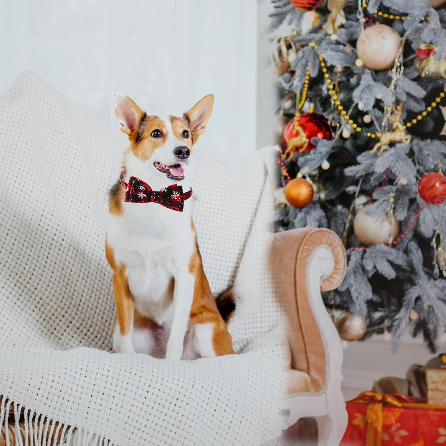Christmas Collar Dog Cat Christmas Collar Christmas Collar with Removable Bow, Collars with Bow Tie Christmas, Checked Costume Dog Collar for Cats and Puppies (Red) image number 3