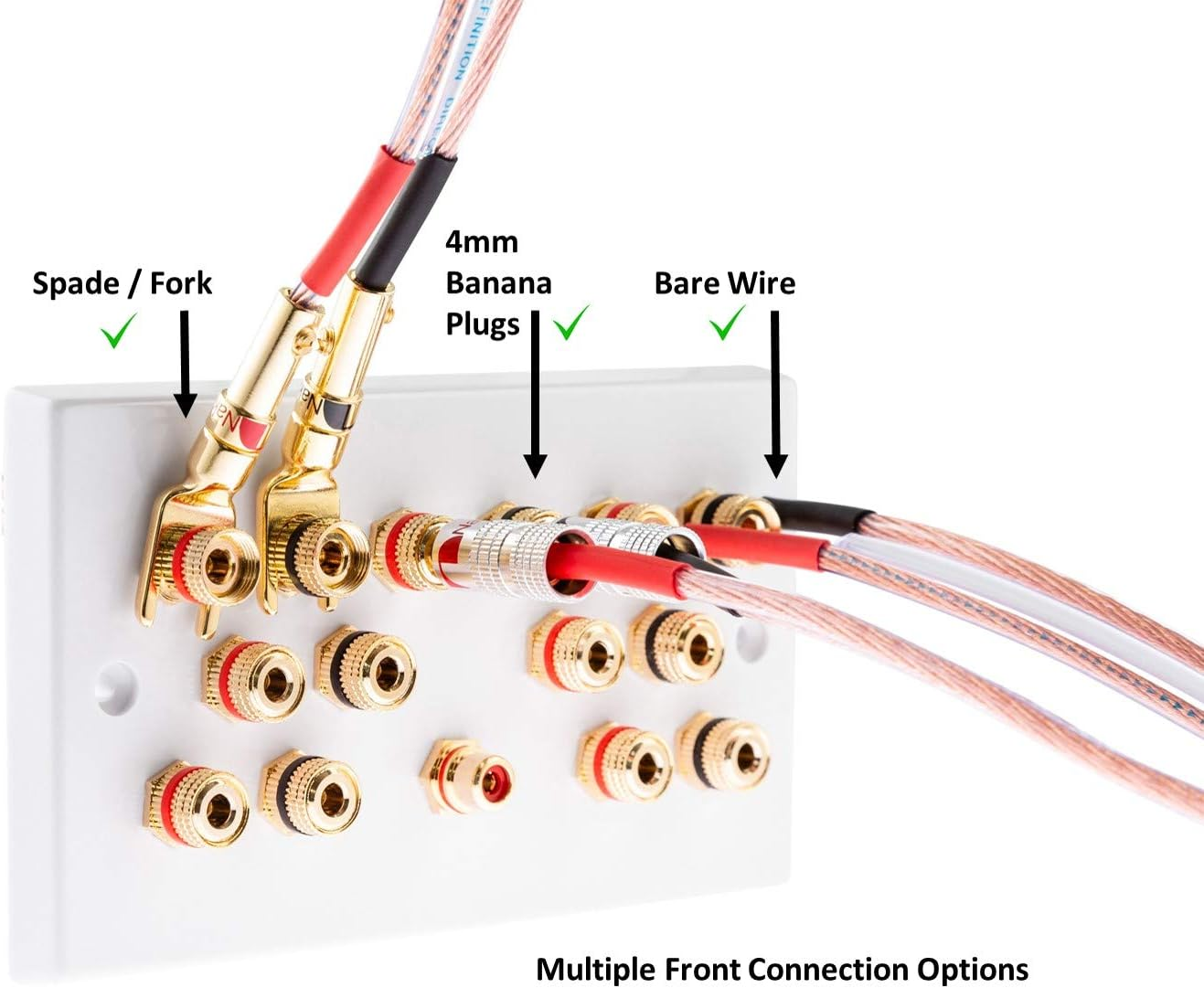 11.0 Audio/Av Surround Sound Speaker Wall Plate with Gold Binding Posts No Soldering Required image number 4