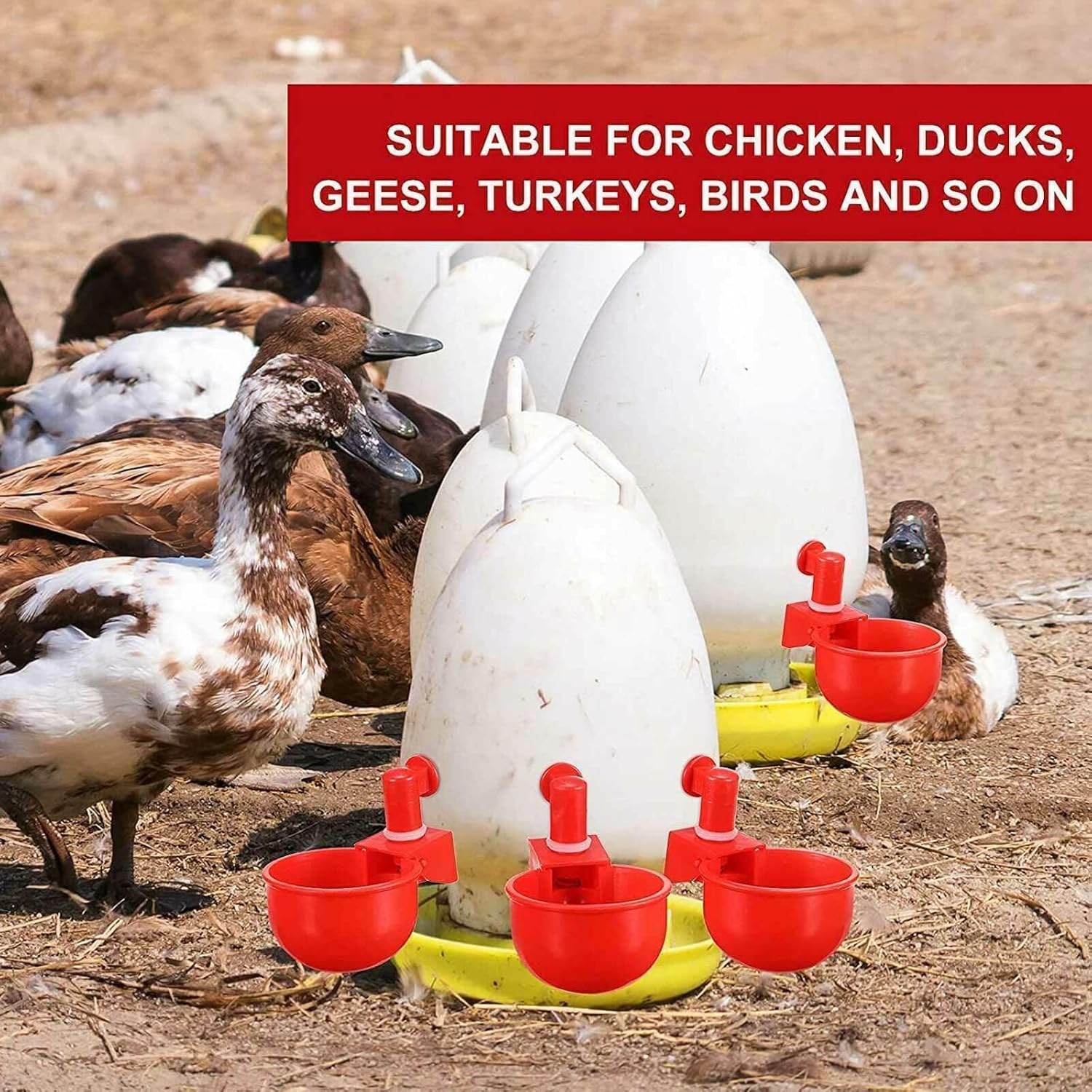 Tootoo 1-15PCS Automatic Chicken Water Cup Waterer Poultry Drinking Bowl Feeder Drinker (15Pcs_Red(Diam:6Cm)) image number 5