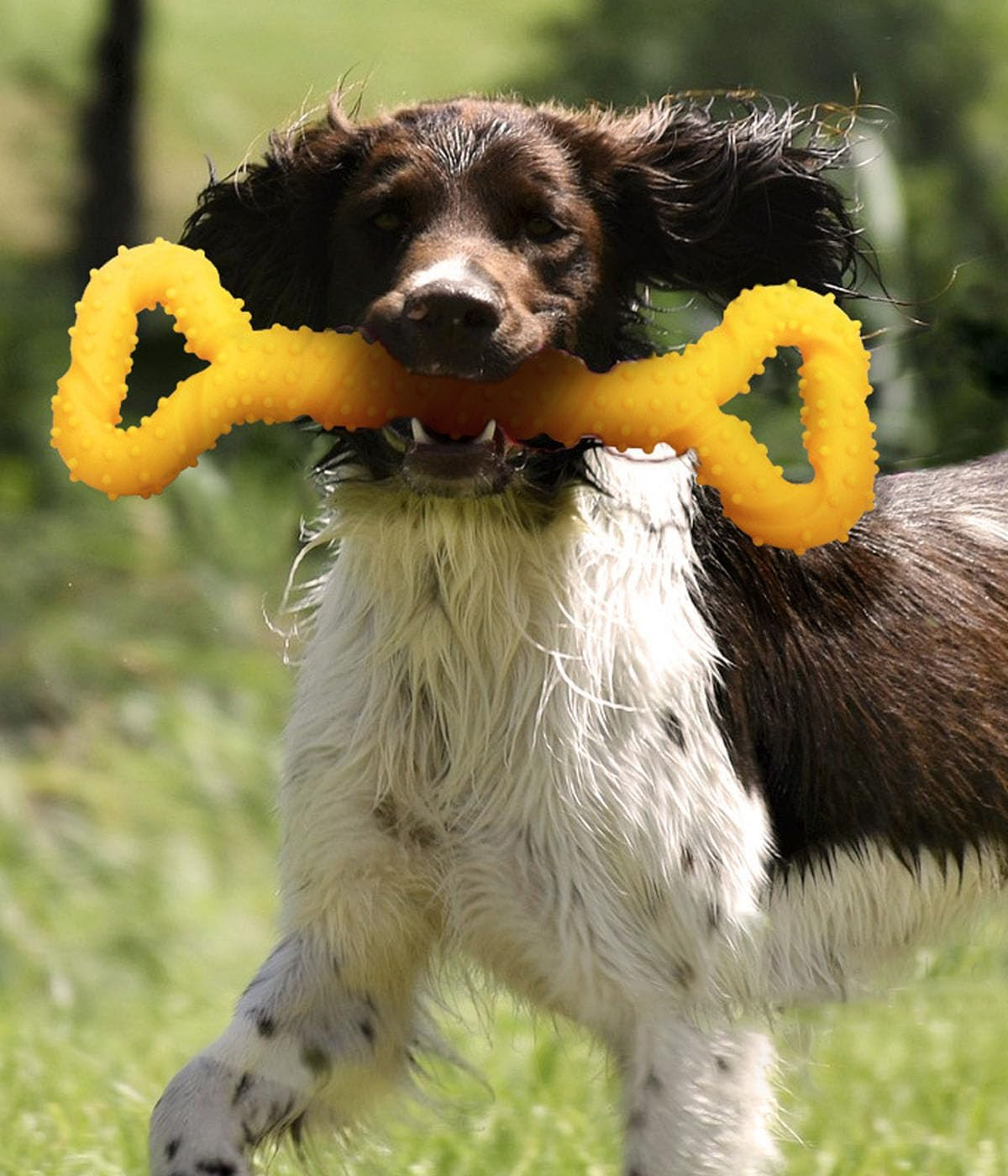 Dog Chew Toy for Large Dogs, Indestructible Bone for Aggressive Chewers, Teething Bone Toy, Dog Bone Toy, Dental Health & Teething Relief, (Yellow) image number 4