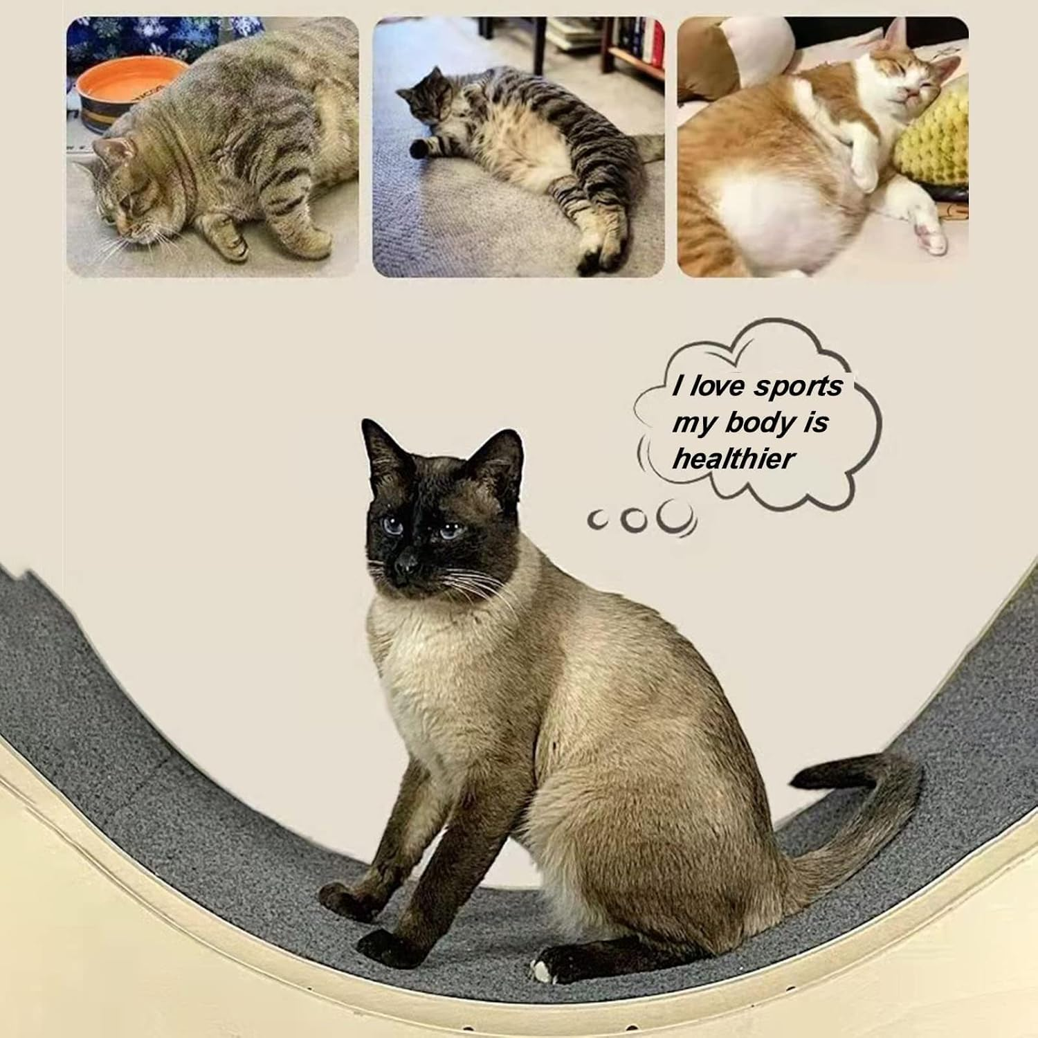 Cat Exercise Wheel,Running,Spinning,And Scratching Fun,Cat Spinning Wheel,Cat Treadmill with Carpeted Runway,Kitty Cat Sport Toy,Great for Physical Activity and Reducing Boredom,Pink-S image number 1