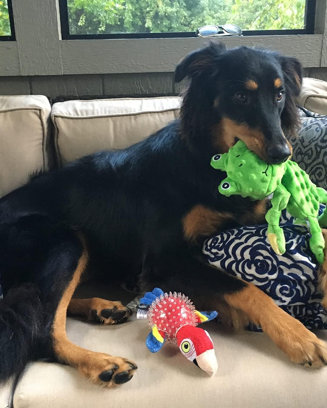 13&rdquo; Frog Squeaker image number 6