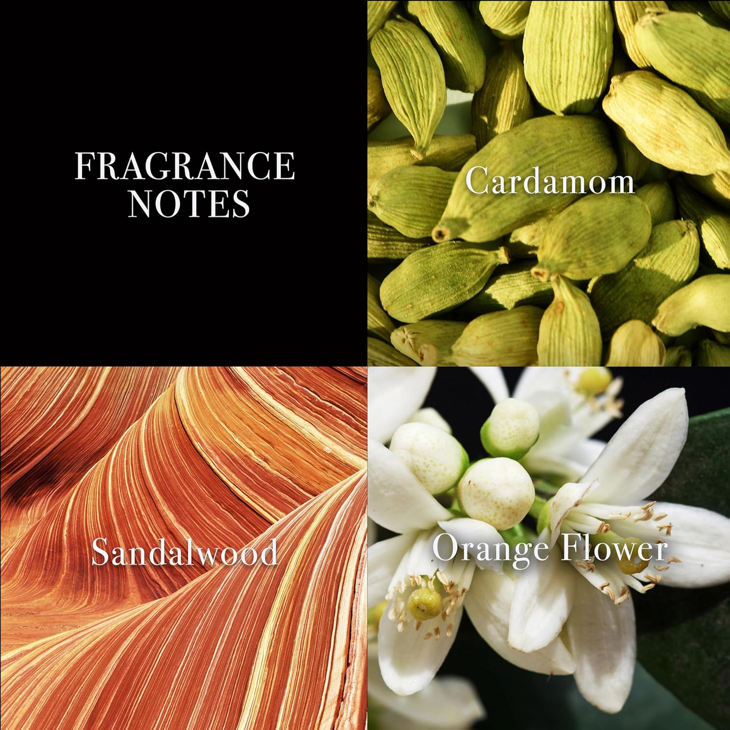 John Varvatos XX by John Varvatos for Men - 2.5 Oz EDT Spray image number 6