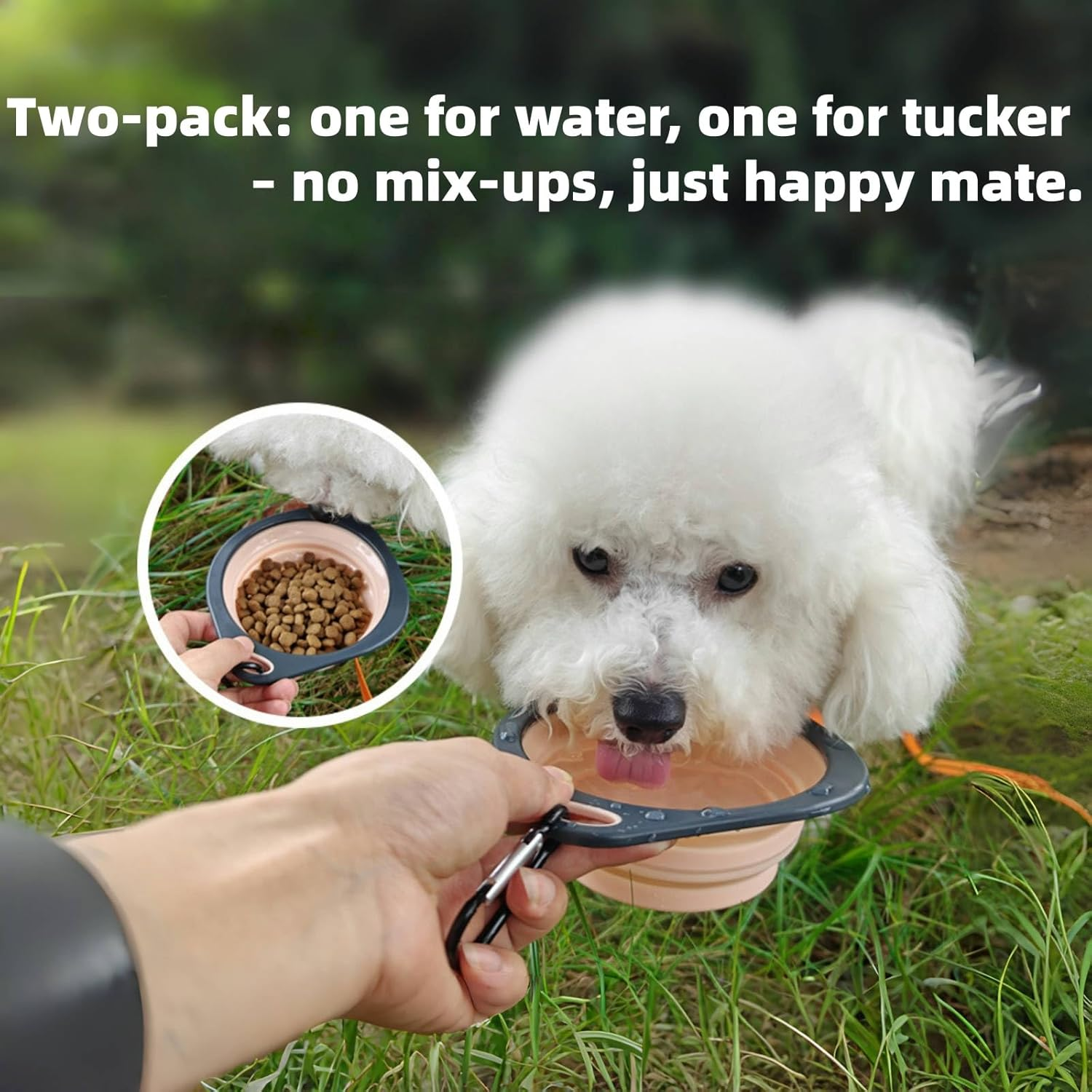 Dog Pet Collapsible Bowls 350Ml, 2 Pack for Cats Dogs, Portable Pets Feeding Watering Dish for Walking Parking Traveling with 2 Carabiners (Pink+Green)