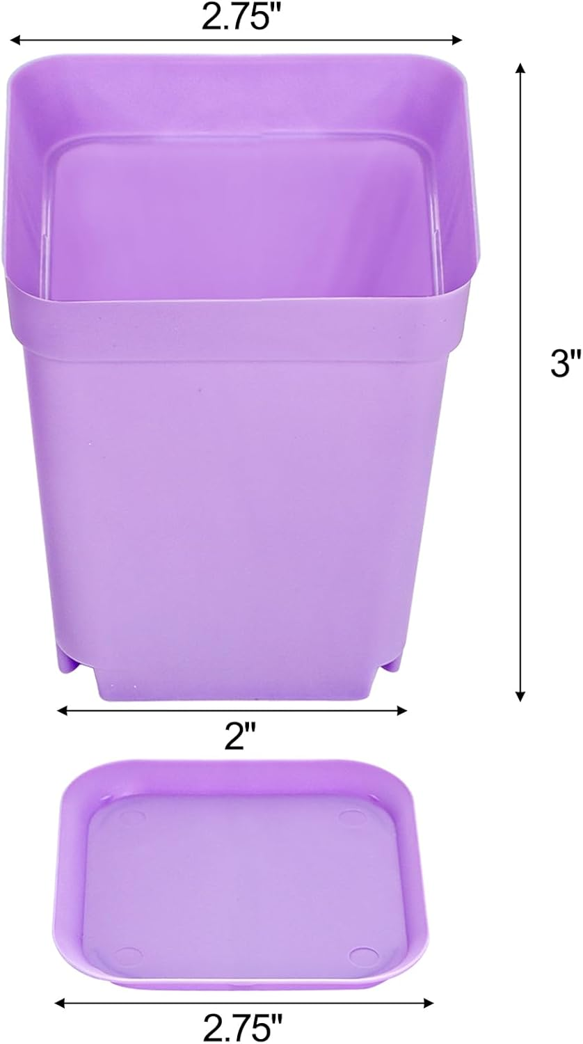 Hedume 70 Pack Mini Plastic Flower Seedling Nursery Pot with Pallet, 3" Colorful Square Plant Pot, Indoor Outdoor Flower Plant Container, Decor for Room, Garden, Office and Balcony (7 Colors) image number 5
