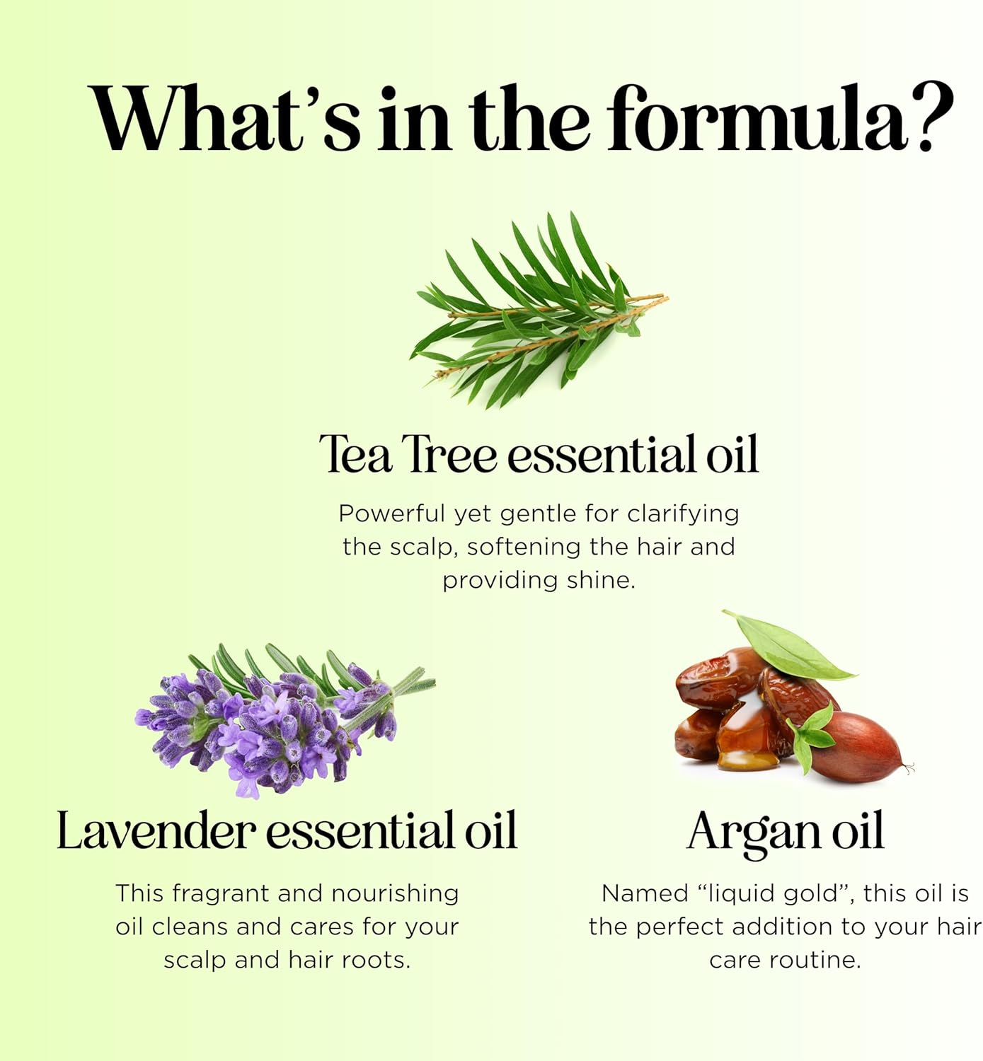 Tea Tree Oil Shampoo Sulfate Free - Deep Cleansing Vegan Tea Tree Shampoo for Oily Hair and Scalp - Daily Clarifying Shampoo for Build up with Rosemary Essential Oil for All Hair Types 25 Fl Oz image number 3