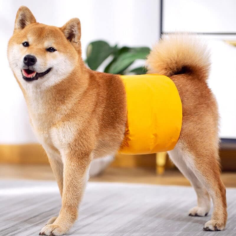 AIMALL Premium Male Dog Nappy Diaper in XS-XL - Soft Cotton Belly Wrap Band, Sanitary Underpants for Pups, Comfortable & Breathable image number 2