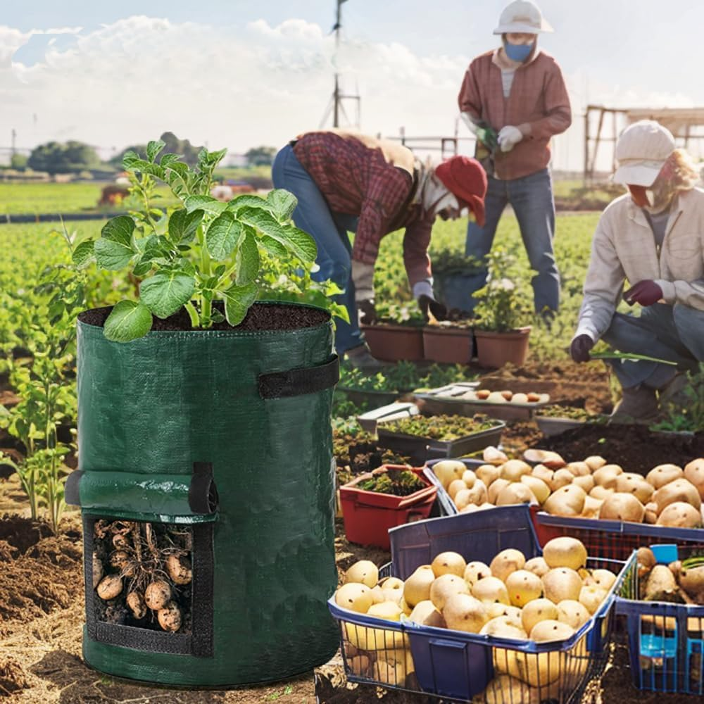 5 Pack 10 Gallon PE Fabric Potato Grow Bag Set,H HOME-MART Garden Plant Grow Bags for Potatoes, Carrots, Tomatoes, Cucumbers and Other Vegetables. Made in Green Polyethylene Complete image number 2