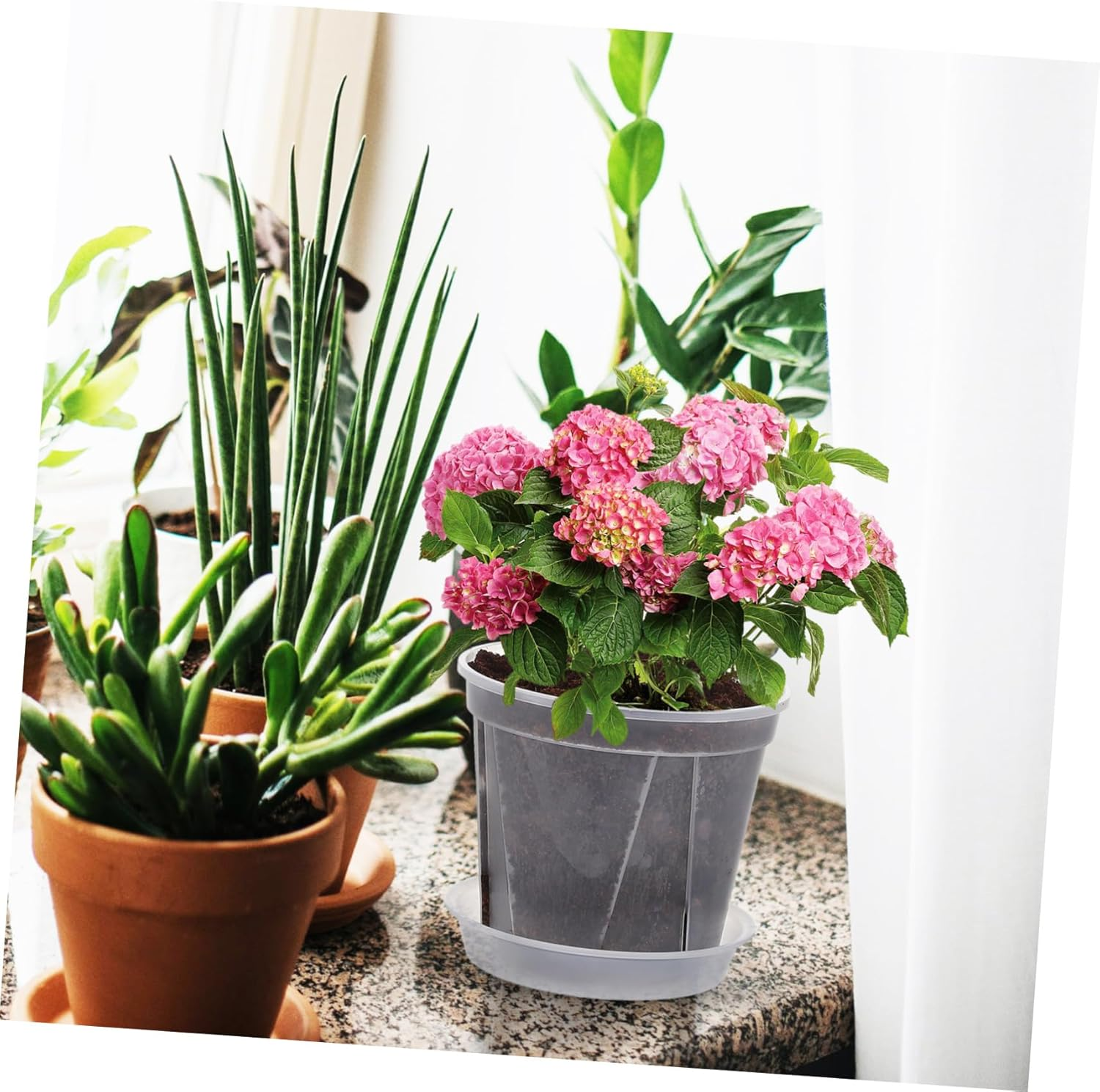 BCOATH Breathable Root Control Orchid Pots with Drainage Tray 0.3 Gallon Succulent Plant Pots Indoor and Outdoor Gardening 4Pcs Green