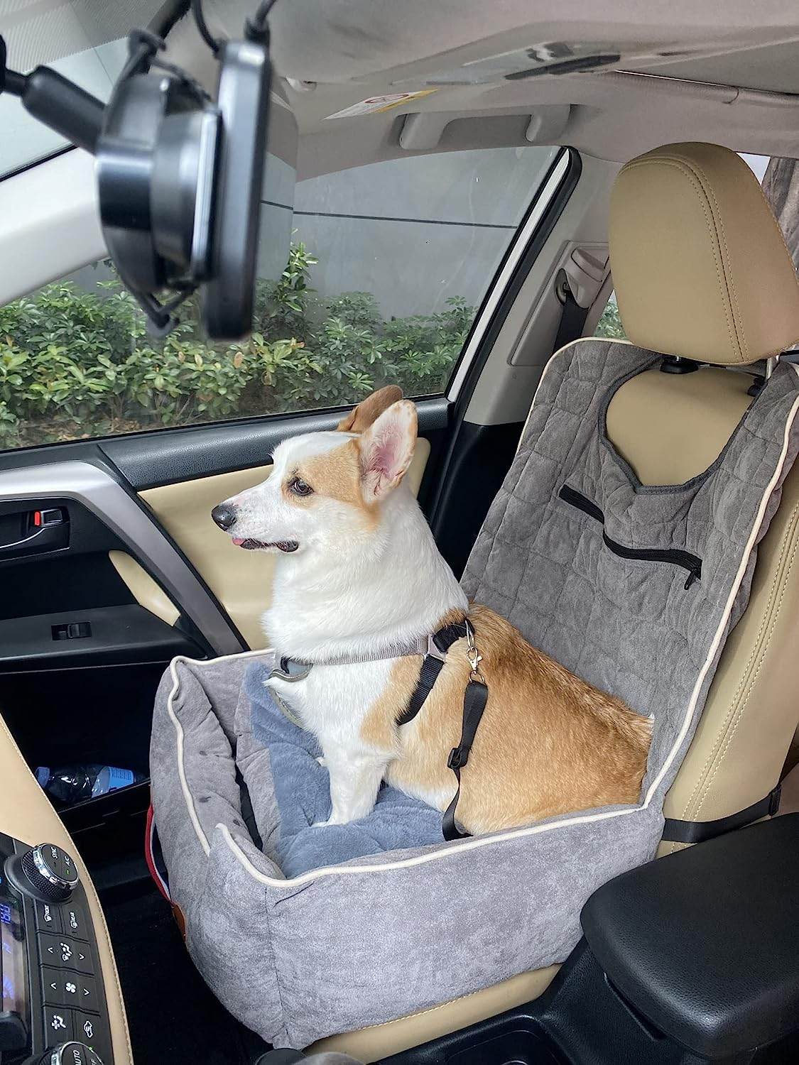 Bingopaw Small Dog Car Seat: Waterproof Pet Puppy Car Seat Booster Carrier with Seat Belt and Storage Pockets Travel Car Bed for Little Dogs, Grey