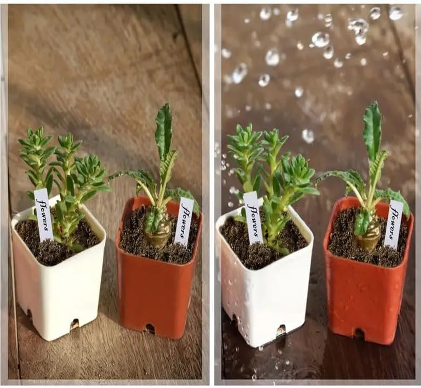 Limcryspp 100-Piece Plastic Plant Label Outdoor Waterproof Garden Marking Plate with Marker Pen, Suitable for Classification Nameplates of Herbaceous, Vegetable and Flower Cultivation image number 2