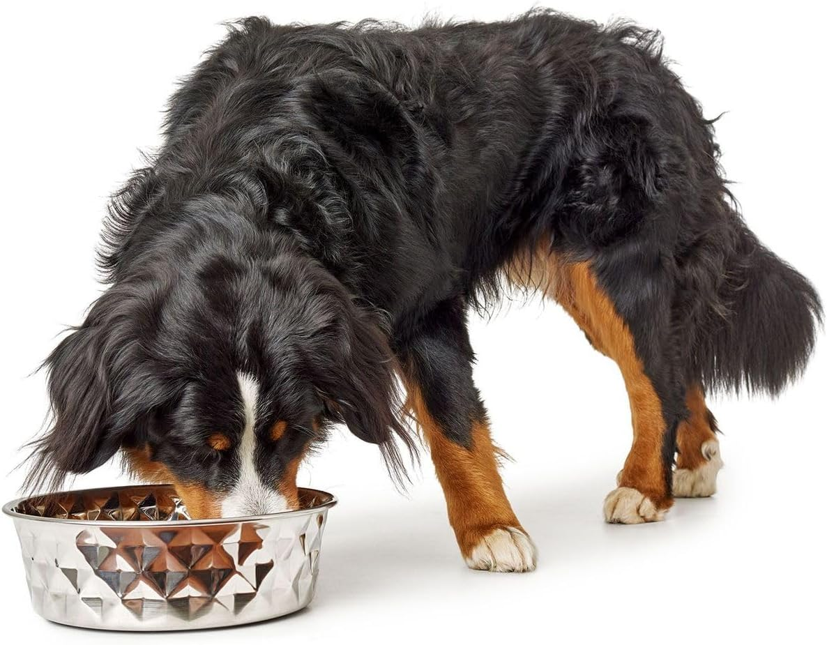 Hunter Silicone Stainless Steel Dog Bowl 1.75L image number 2