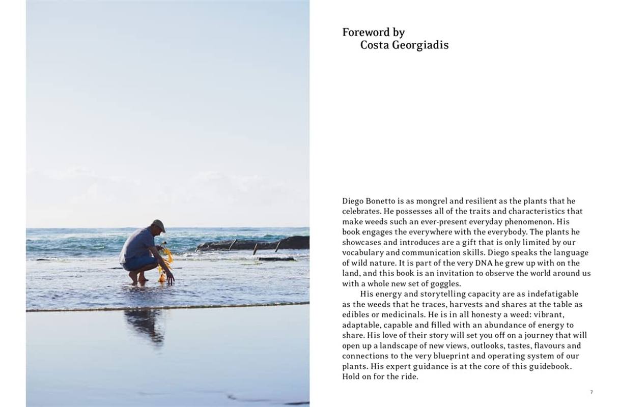 Eat Weeds: a Field Guide to Foraging: How to Identify, Harvest, Eat and Use Wild Plants (Flexibound Edition) image number 4