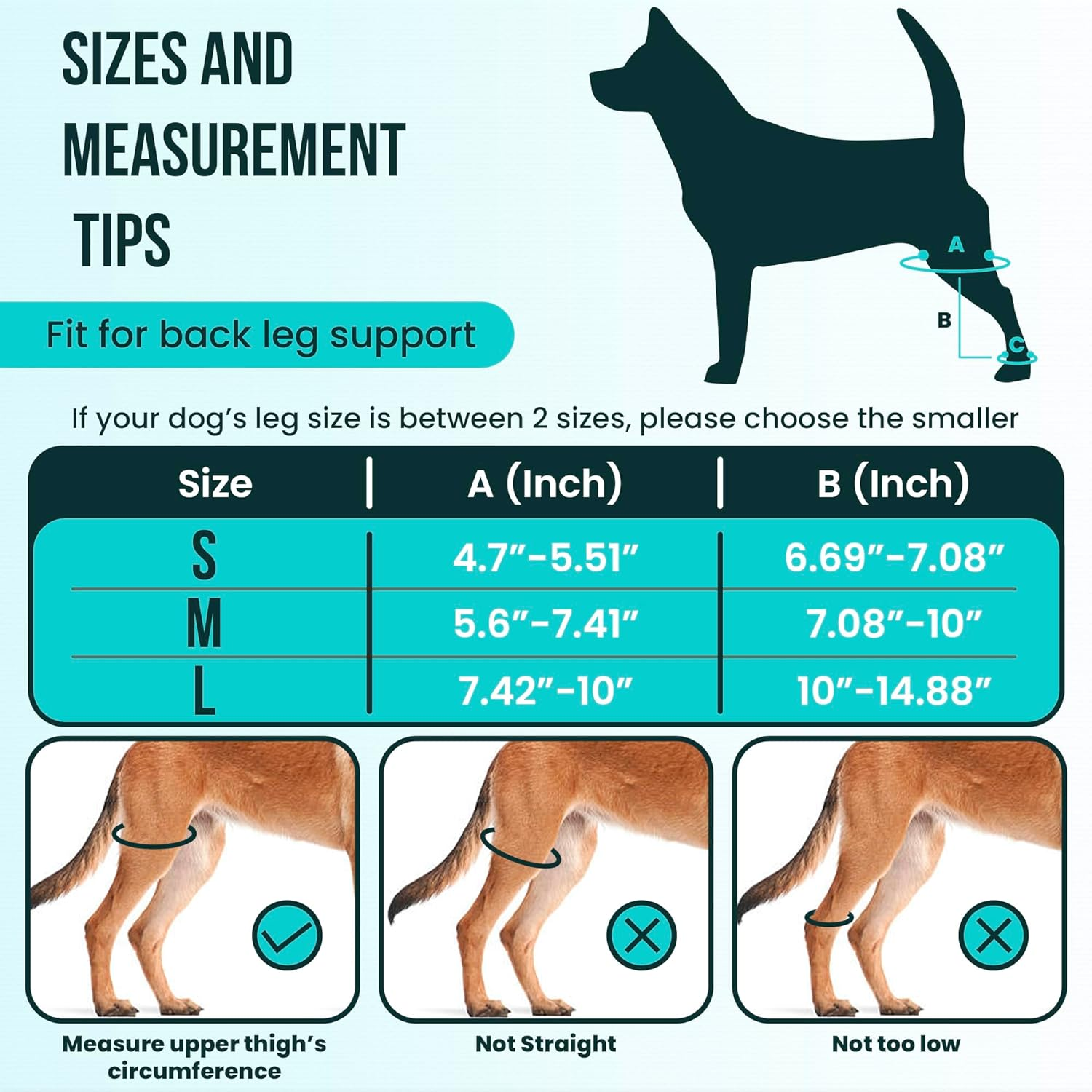 Dog Leg Braces for Back Leg - Dog Knee Brace for Support with Cruciate Ligament Injury, Joint Pain and Muscle Sore,- Dog Knee Brace for Torn ACL Hind Leg Adjustable Rear Leg Braces (Small) image number 1