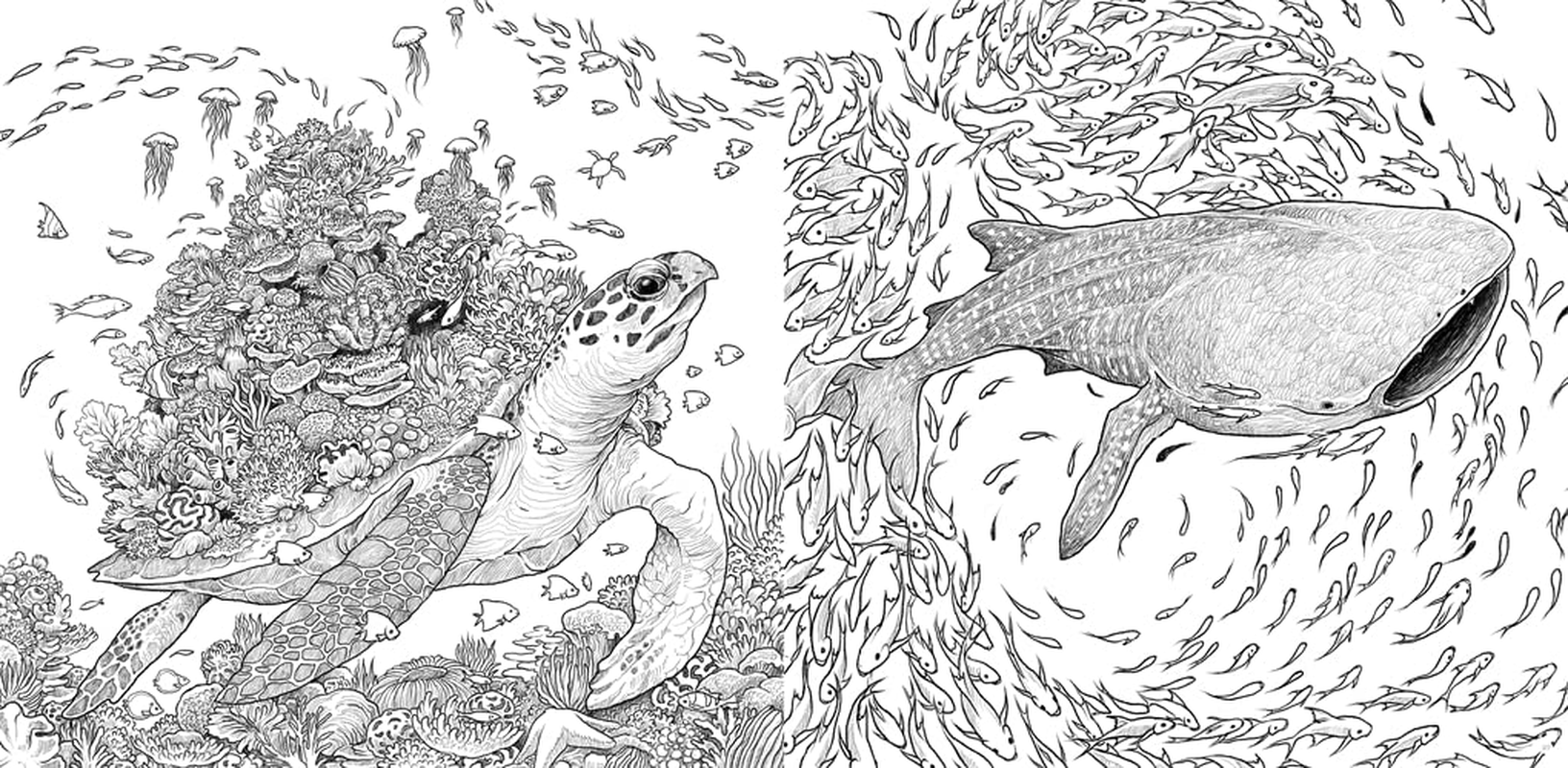 Fragile World: Colour Nature'S Wonders: Volume 2 image number 5